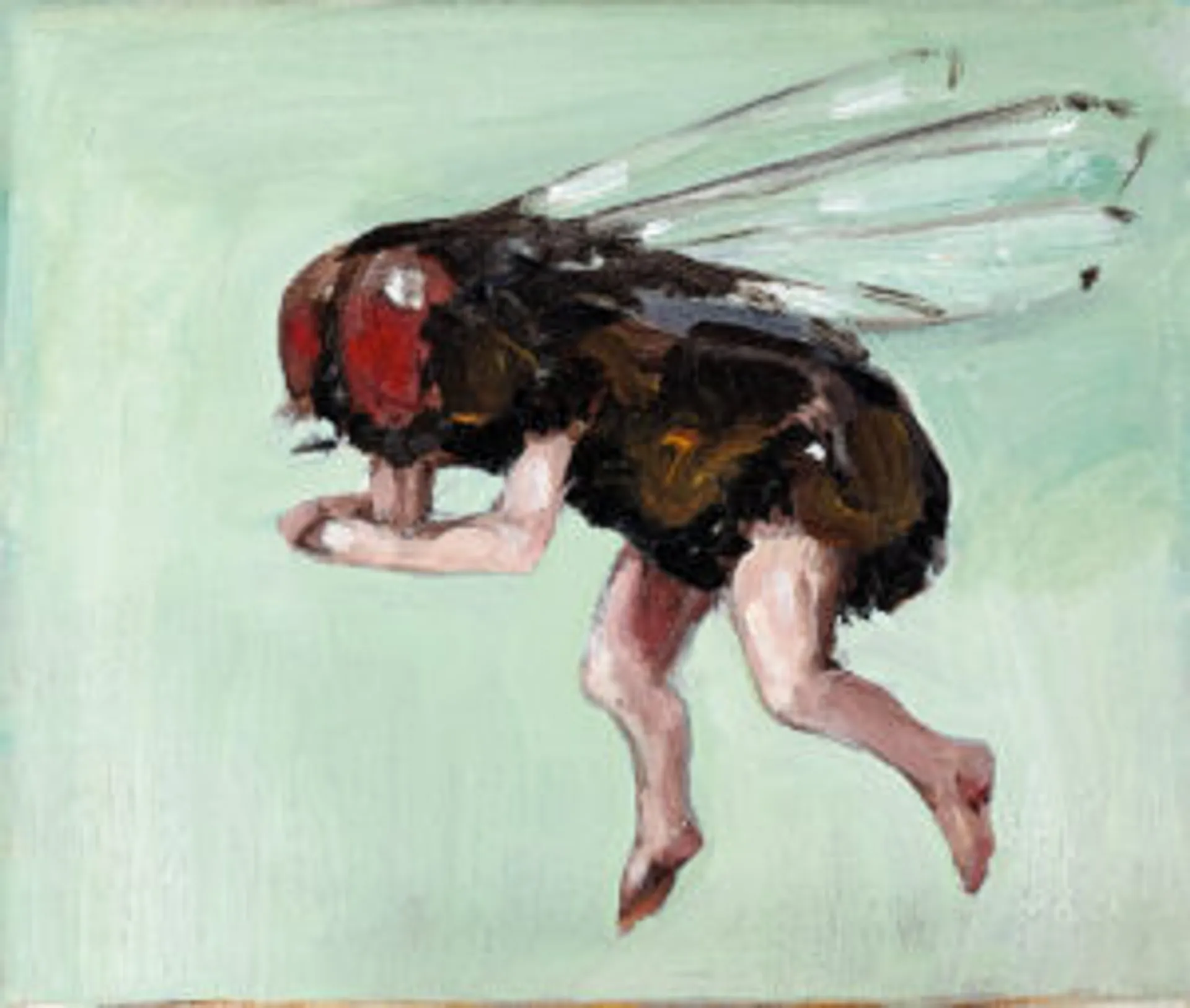 UNTITLED (ANTS),  UNTITLED (FLY) AND UNTITLED (FROG)