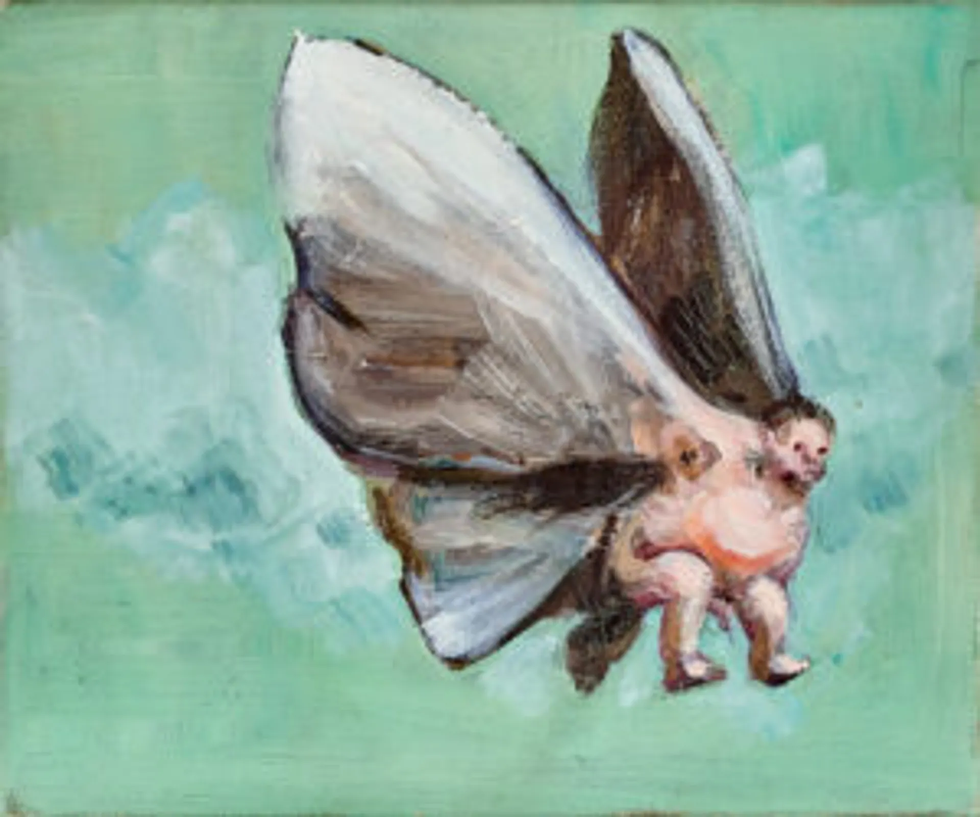 UNTITLED (ANTS),  UNTITLED (FLY) AND UNTITLED (FROG)