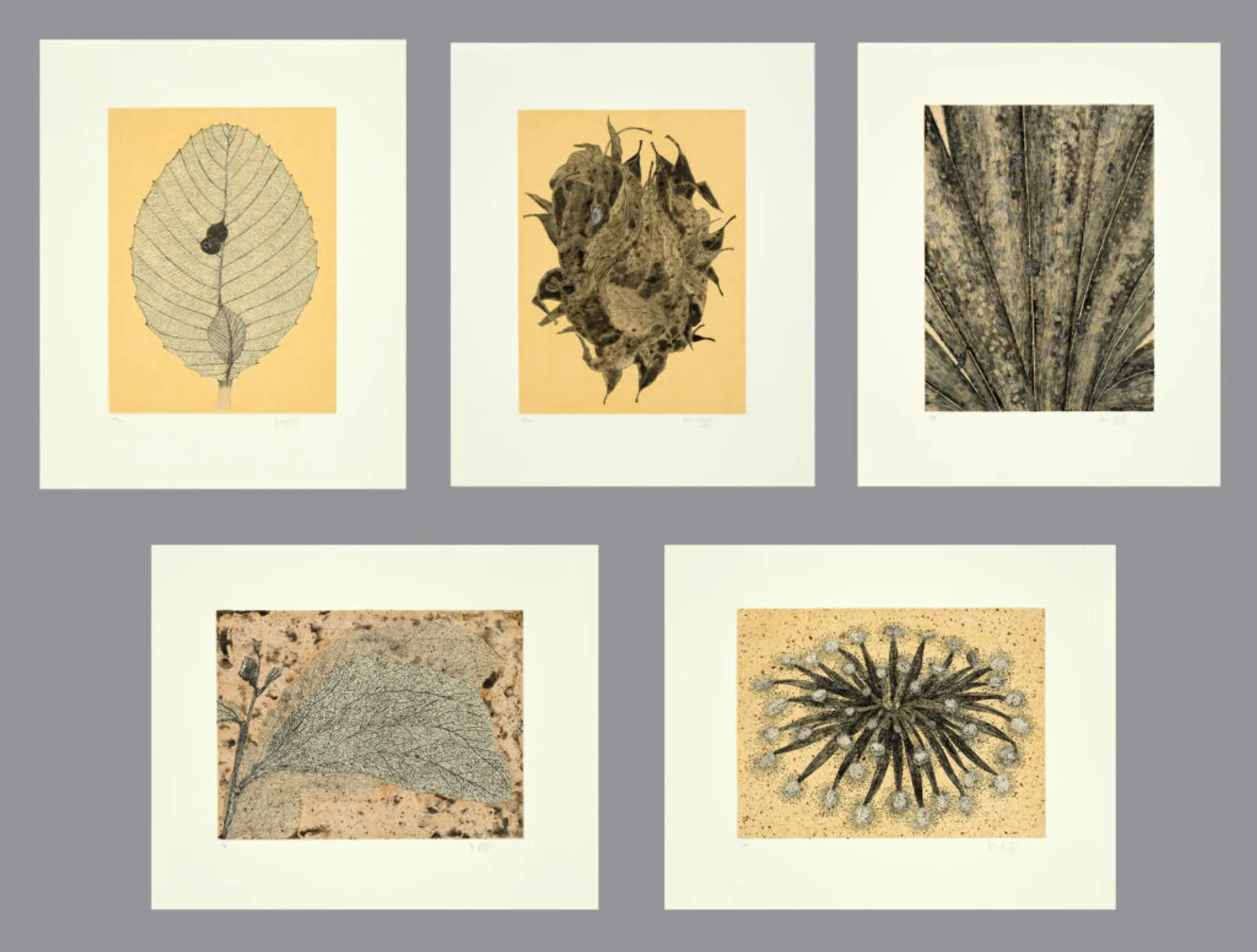SUITE OF FIVE ETCHINGS