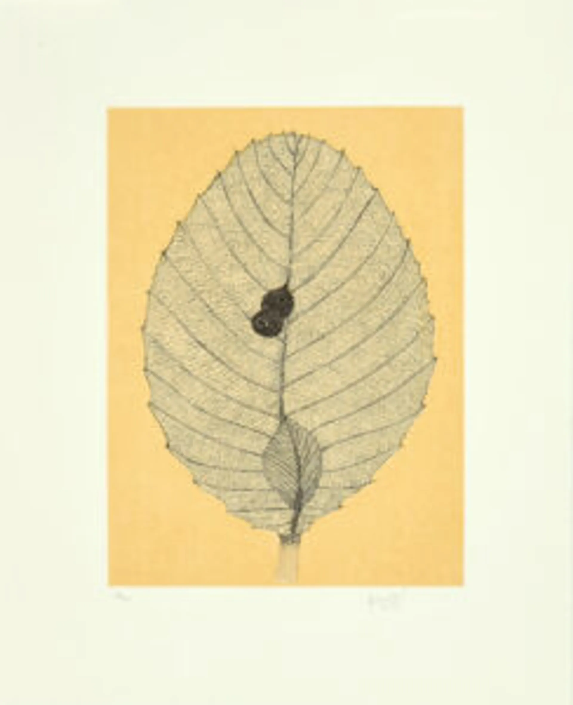 SUITE OF FIVE ETCHINGS