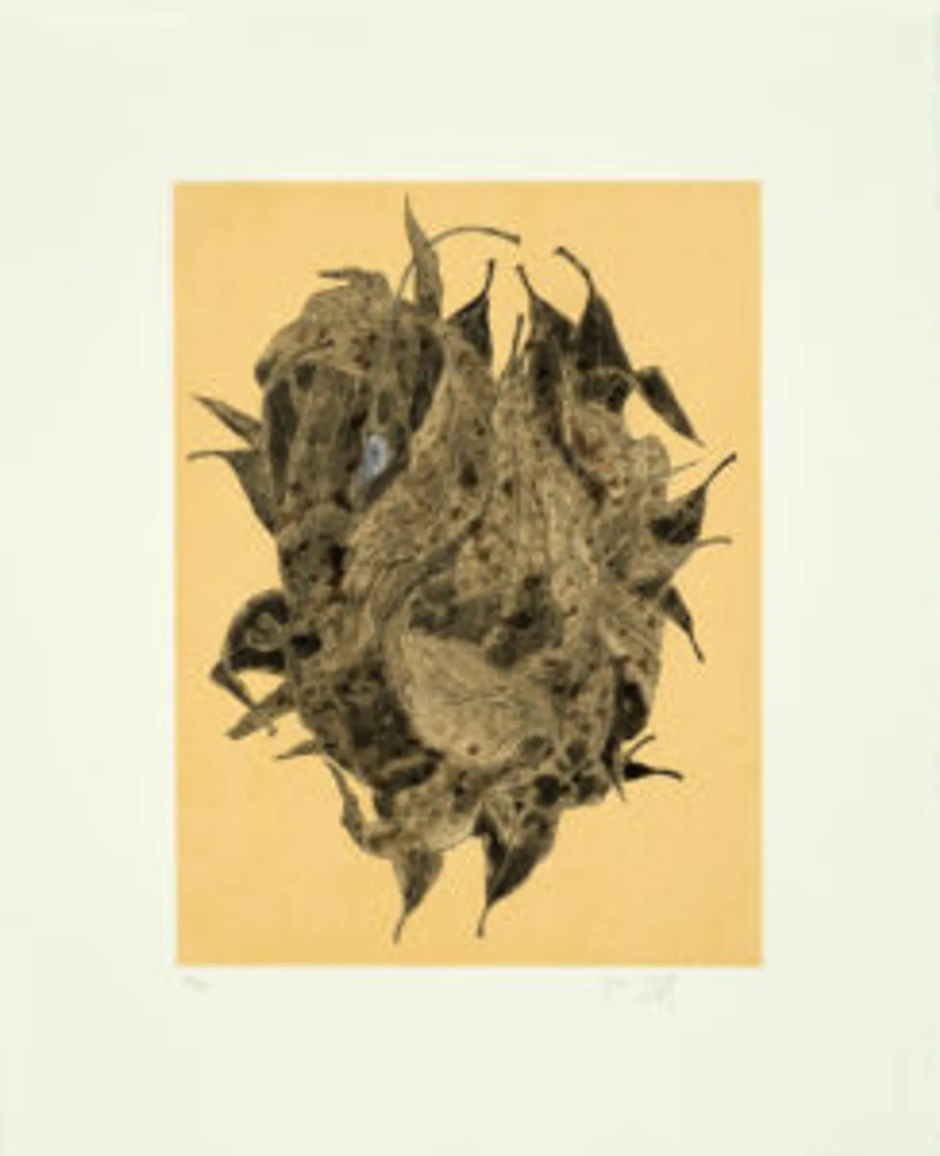 SUITE OF FIVE ETCHINGS