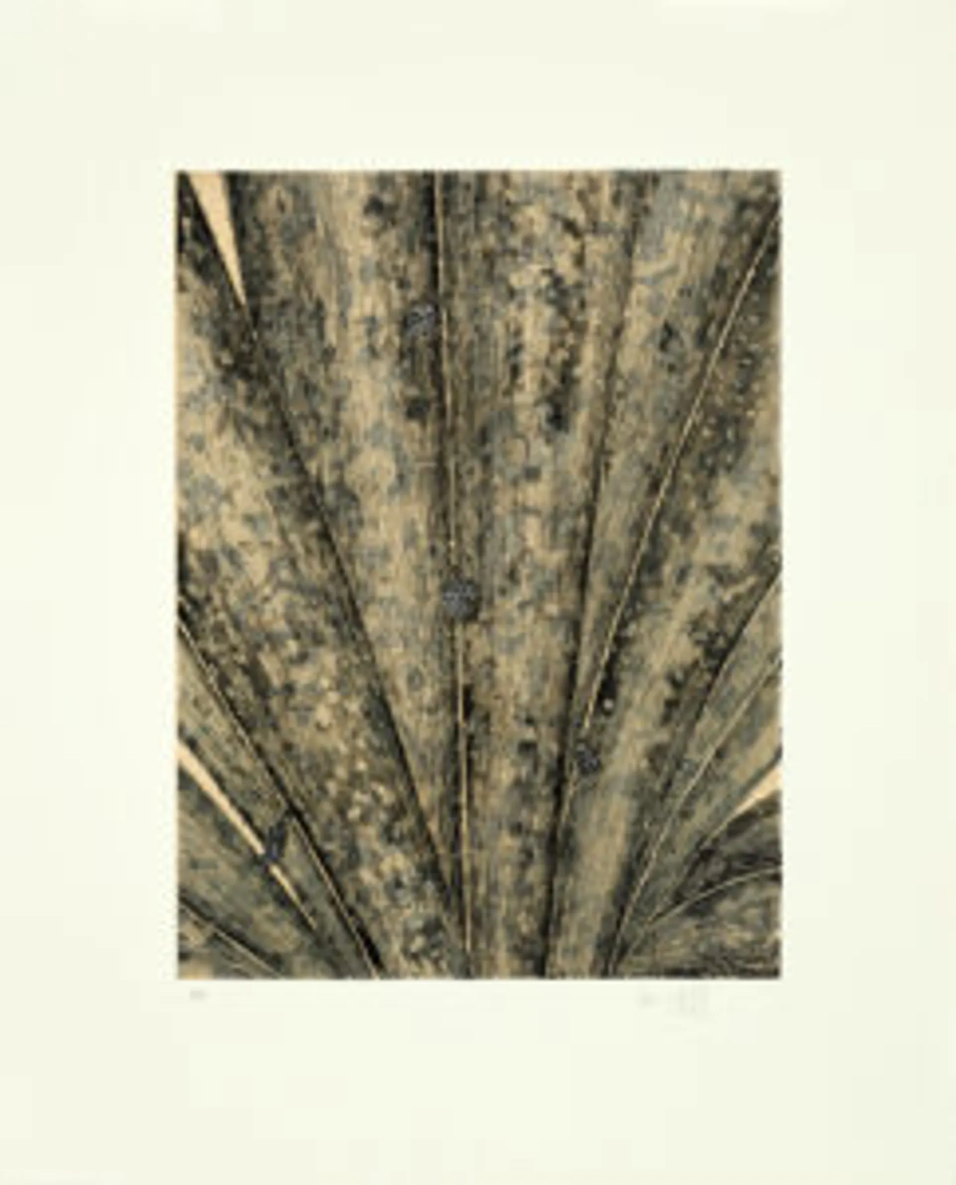 SUITE OF FIVE ETCHINGS