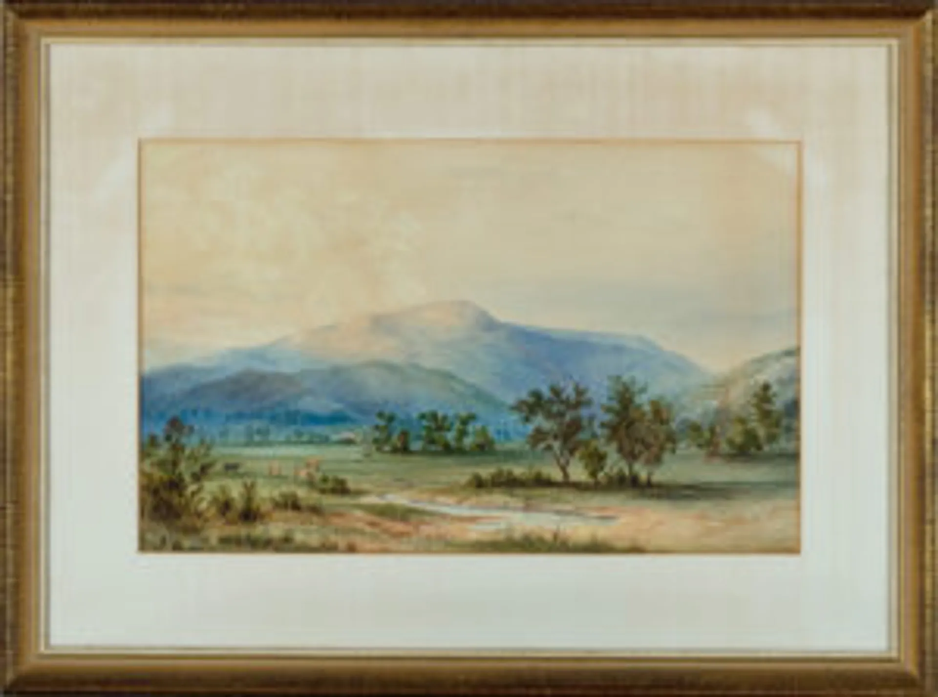 MT STURGEON, GRAMPIANS