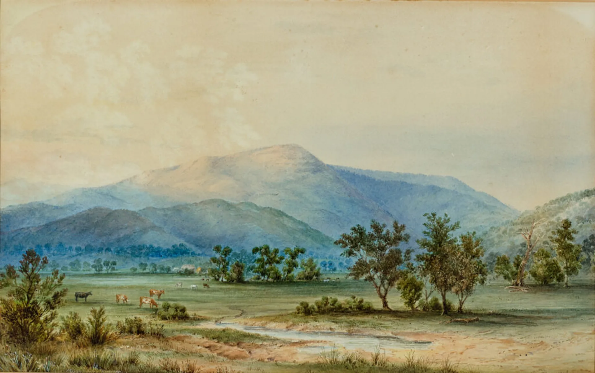 MT STURGEON, GRAMPIANS