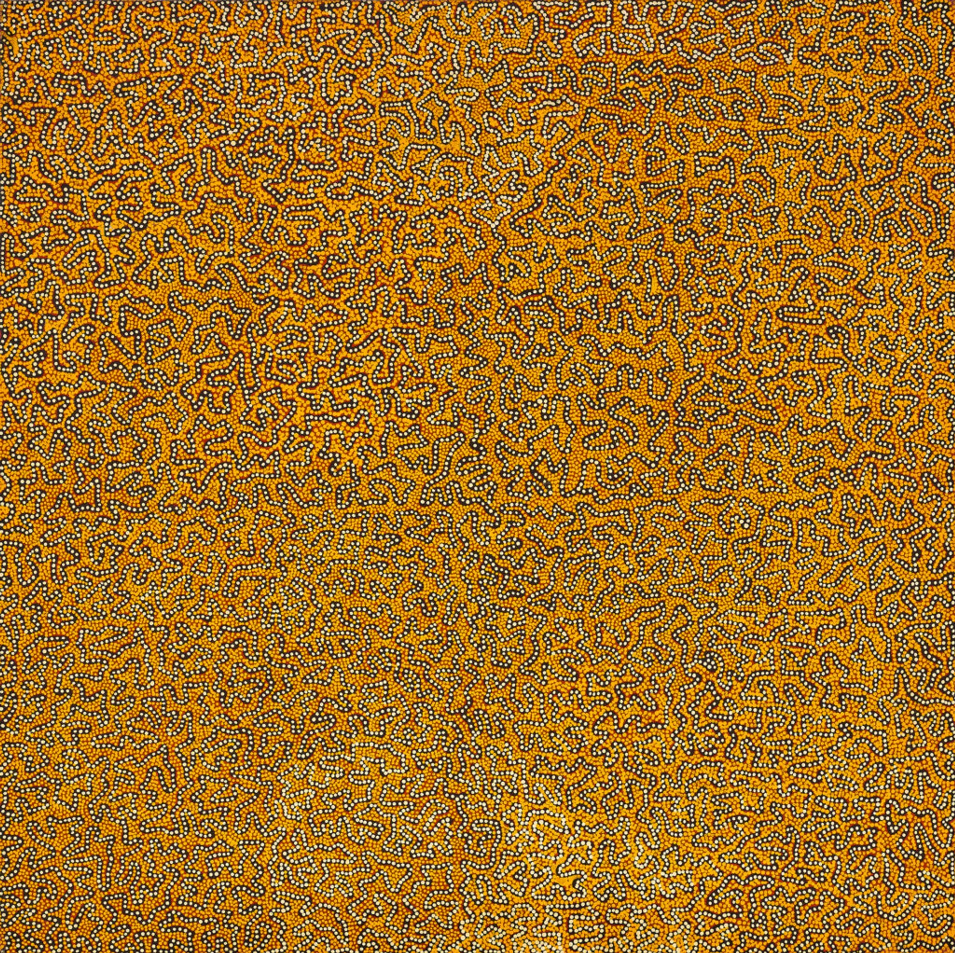 Untitled (Tingari story)