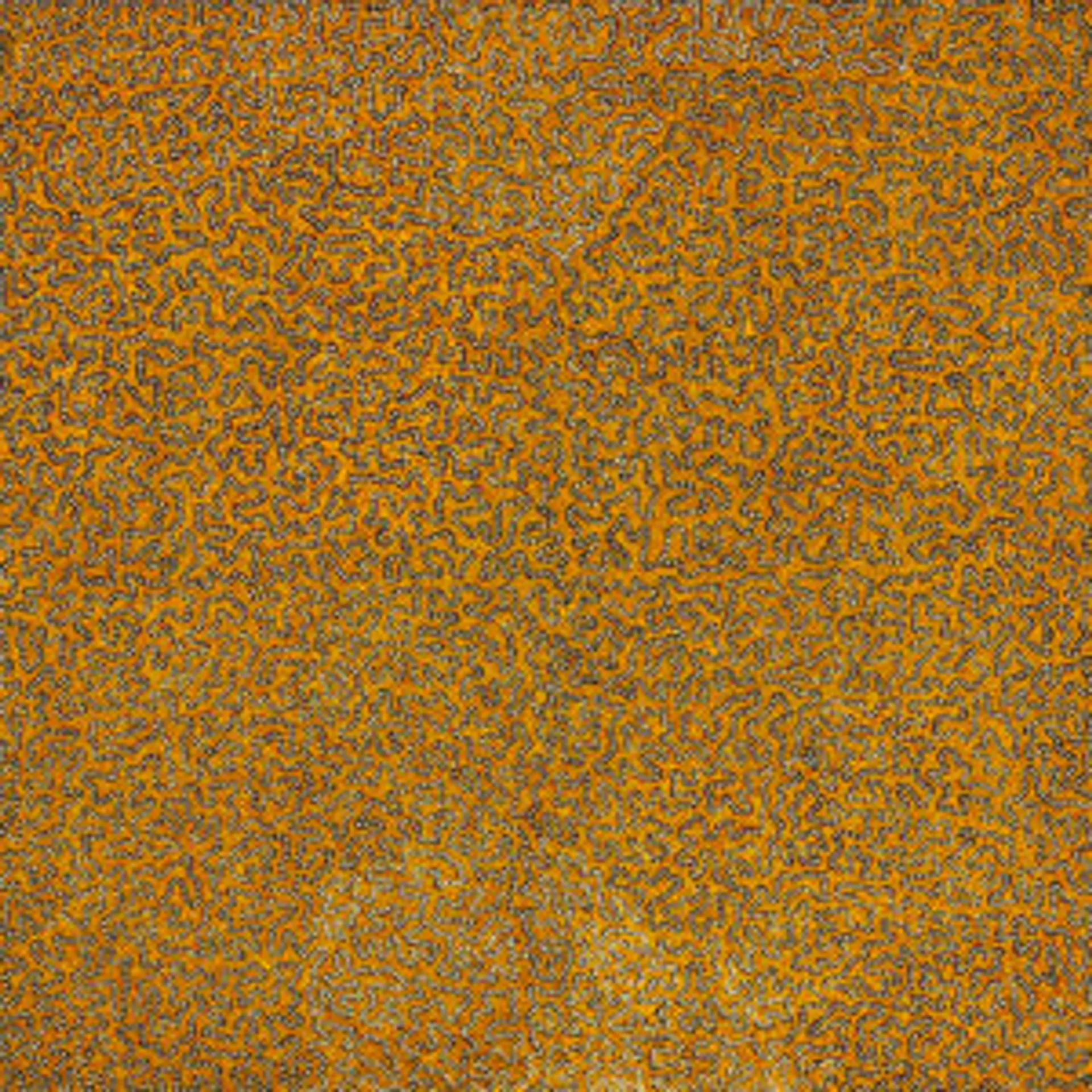 Untitled (Tingari story)