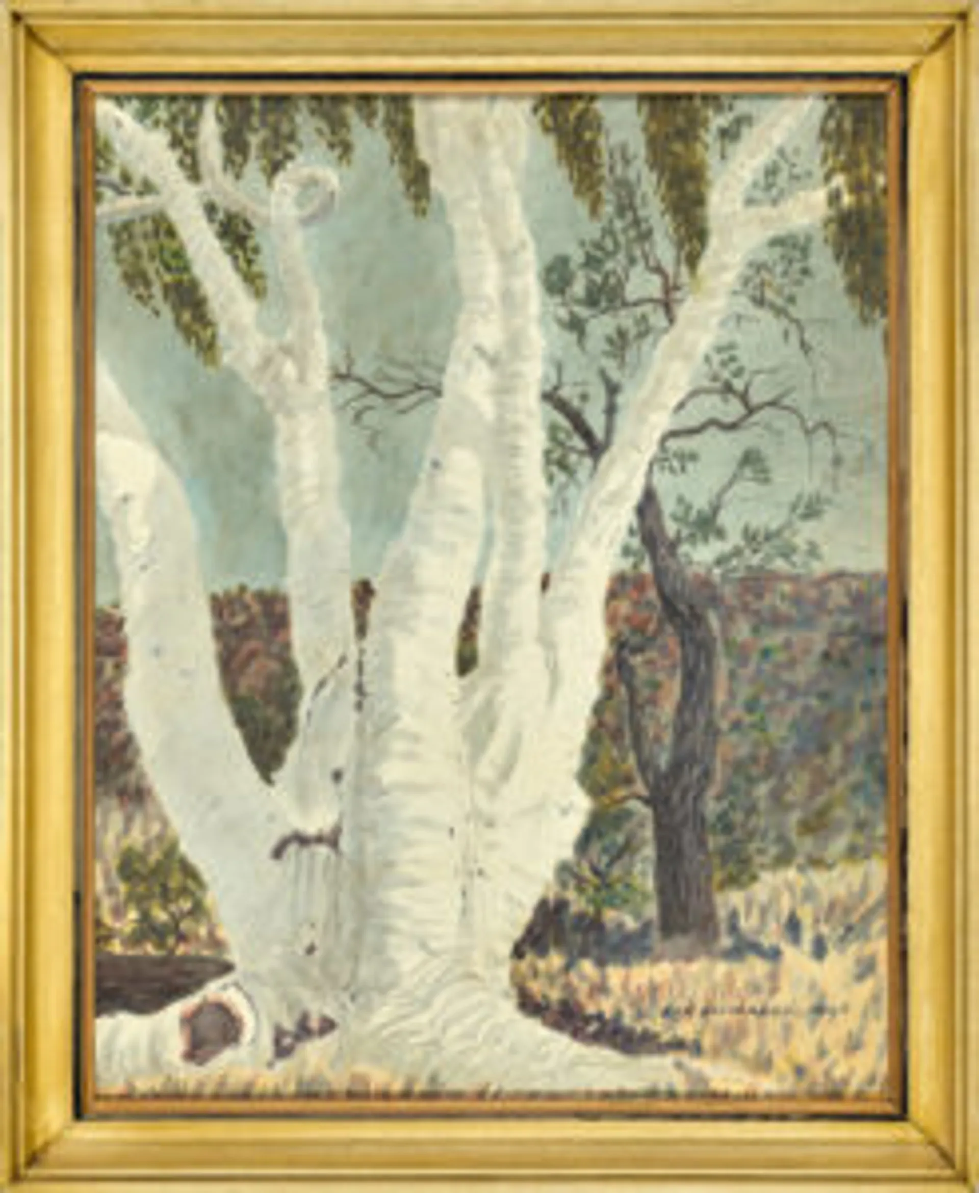 GHOST GUM