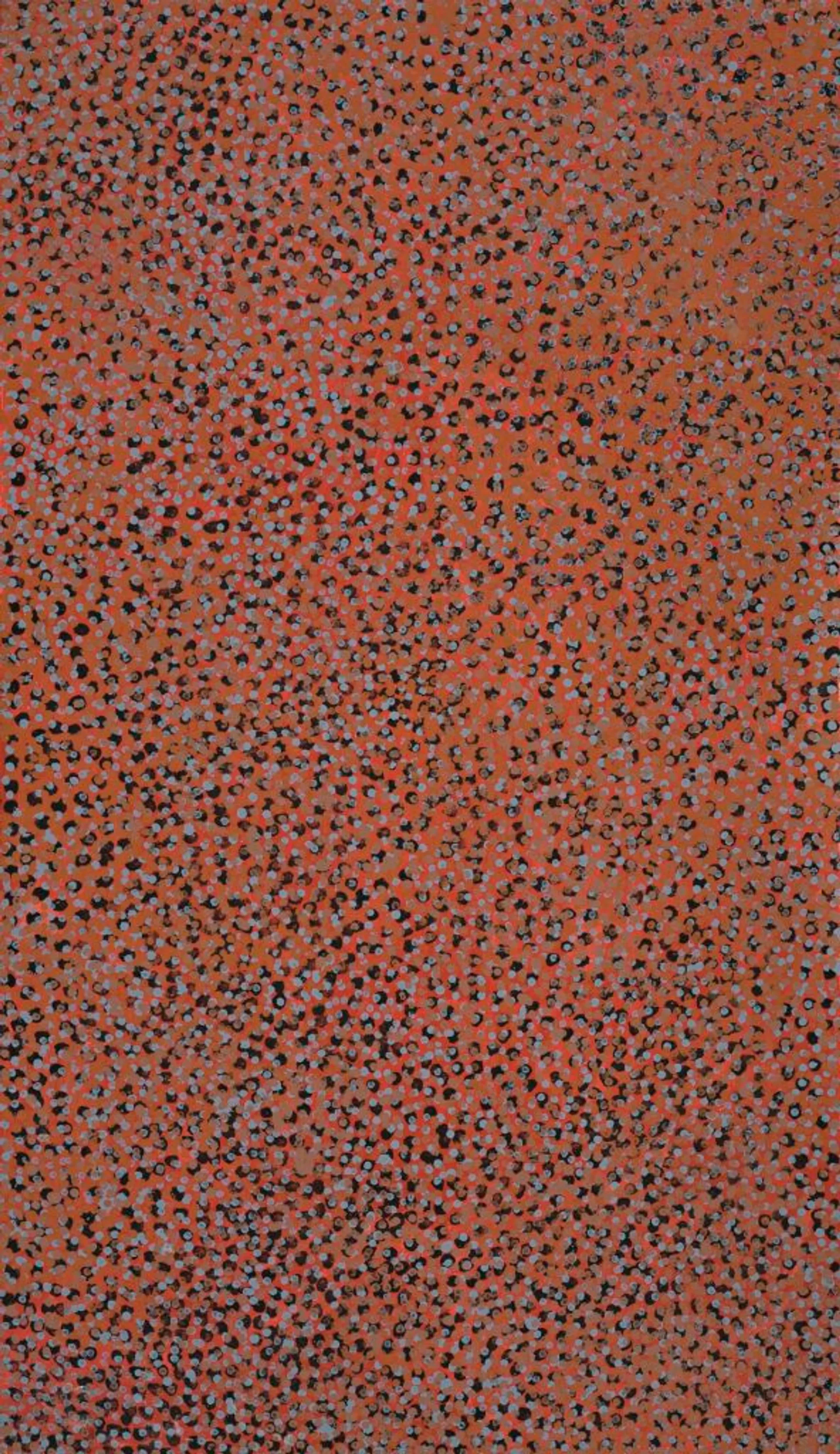MERNE NDORKWA (WILD PLUM)