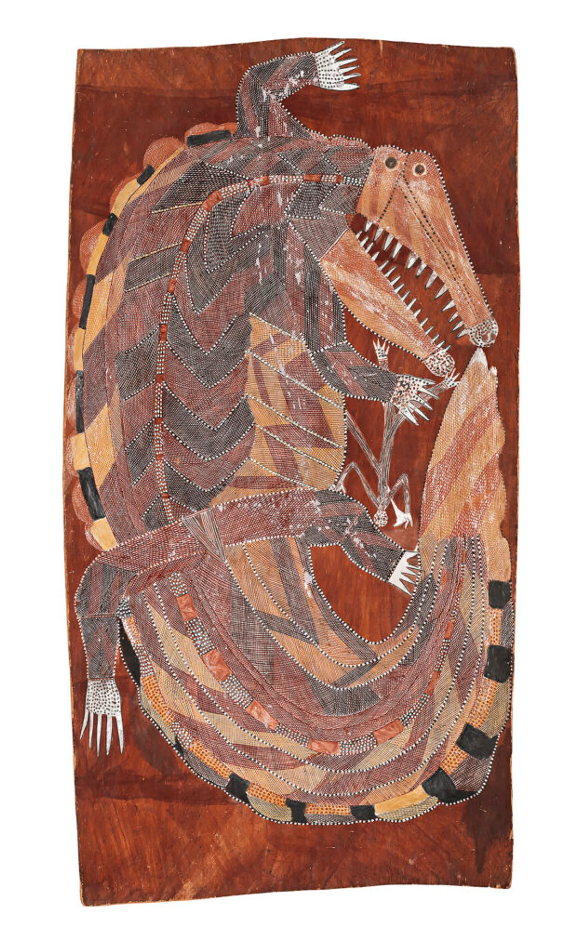 SALT WATER CROCODILE AND MIMIH