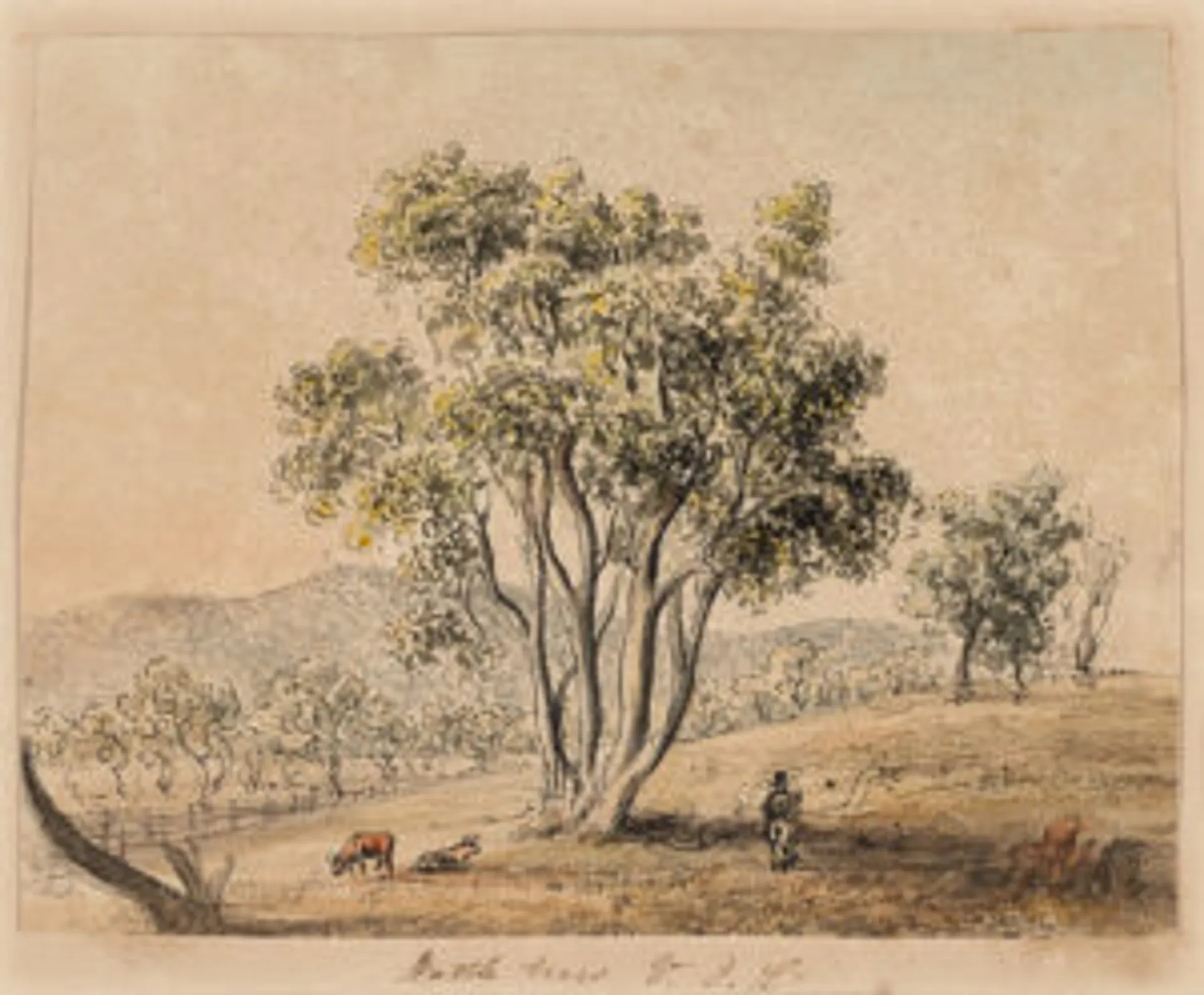 GROUP OF FOUR WORKS