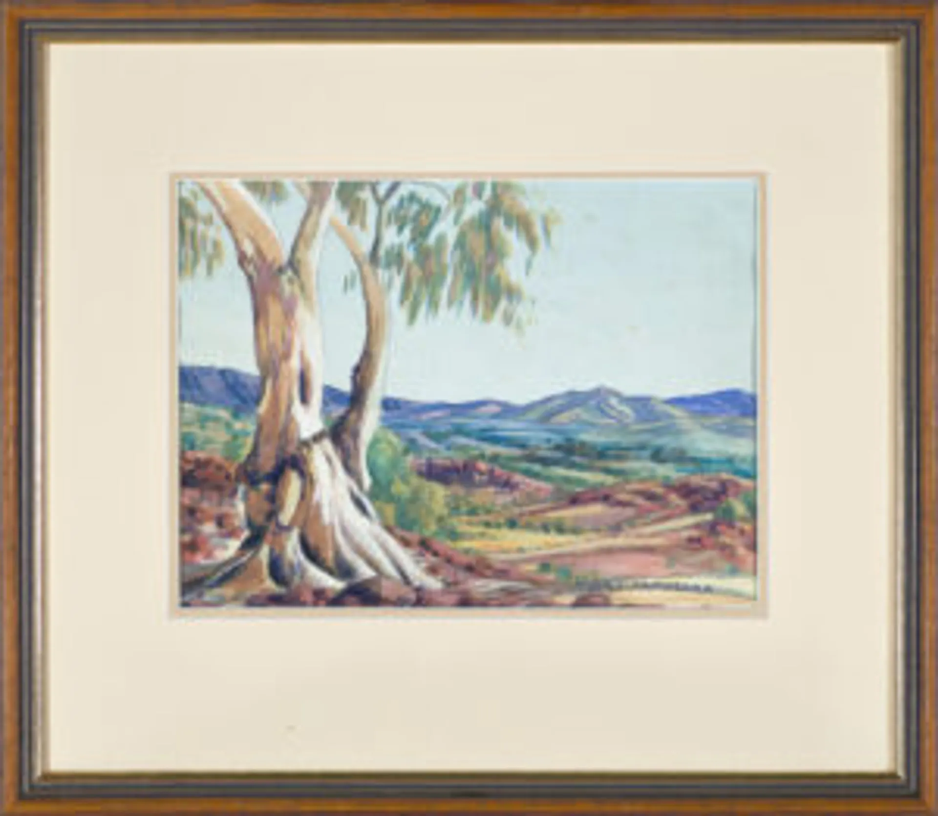 [CENTRAL AUSTRALIAN LANDSCAPE]