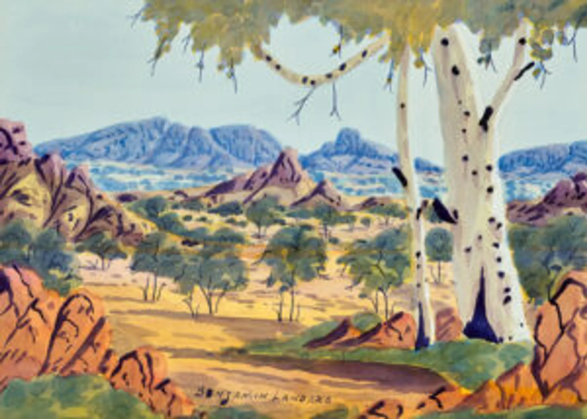 GHOST GUM, CENTRAL DESERT