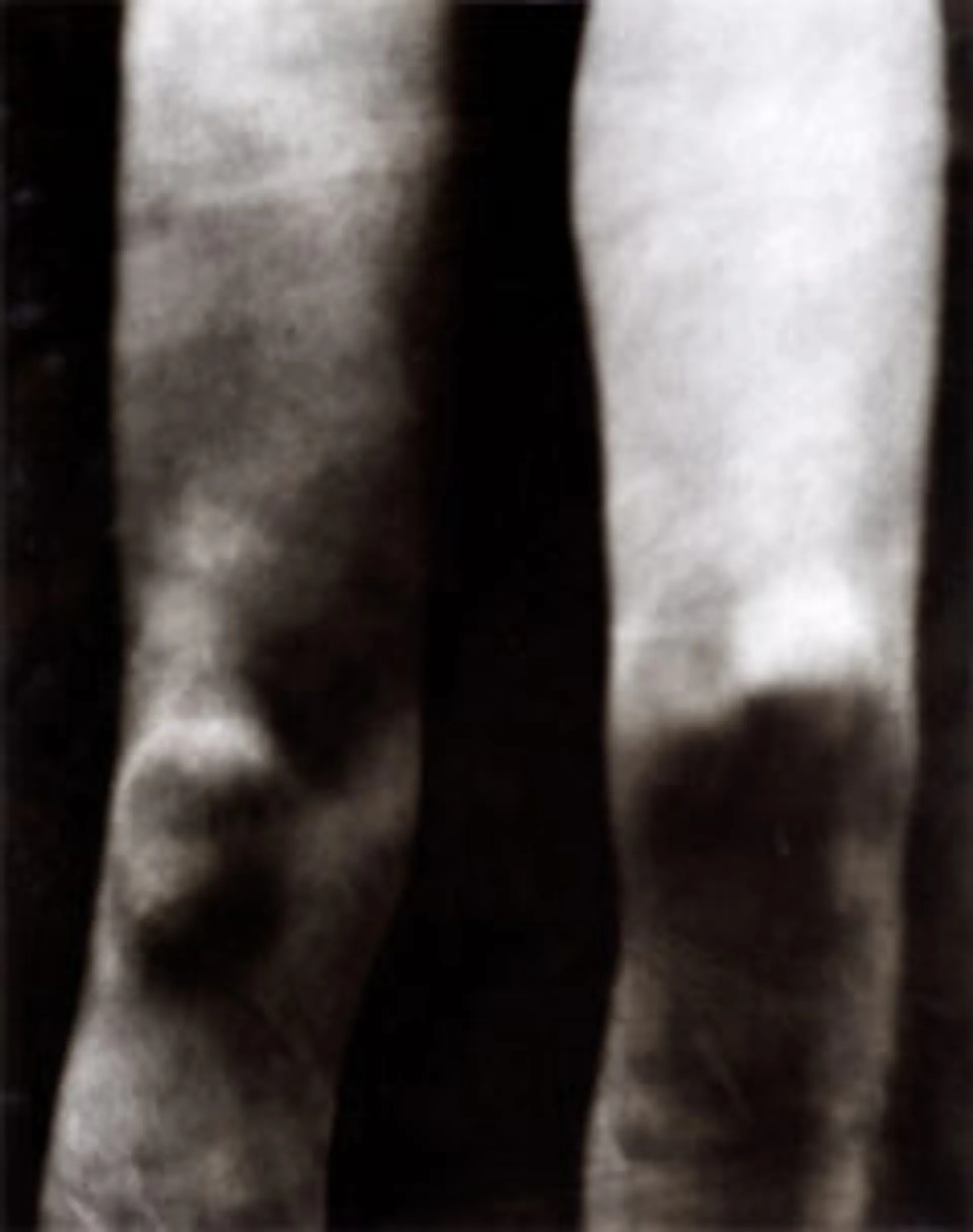UNTITLED SEQUENCE