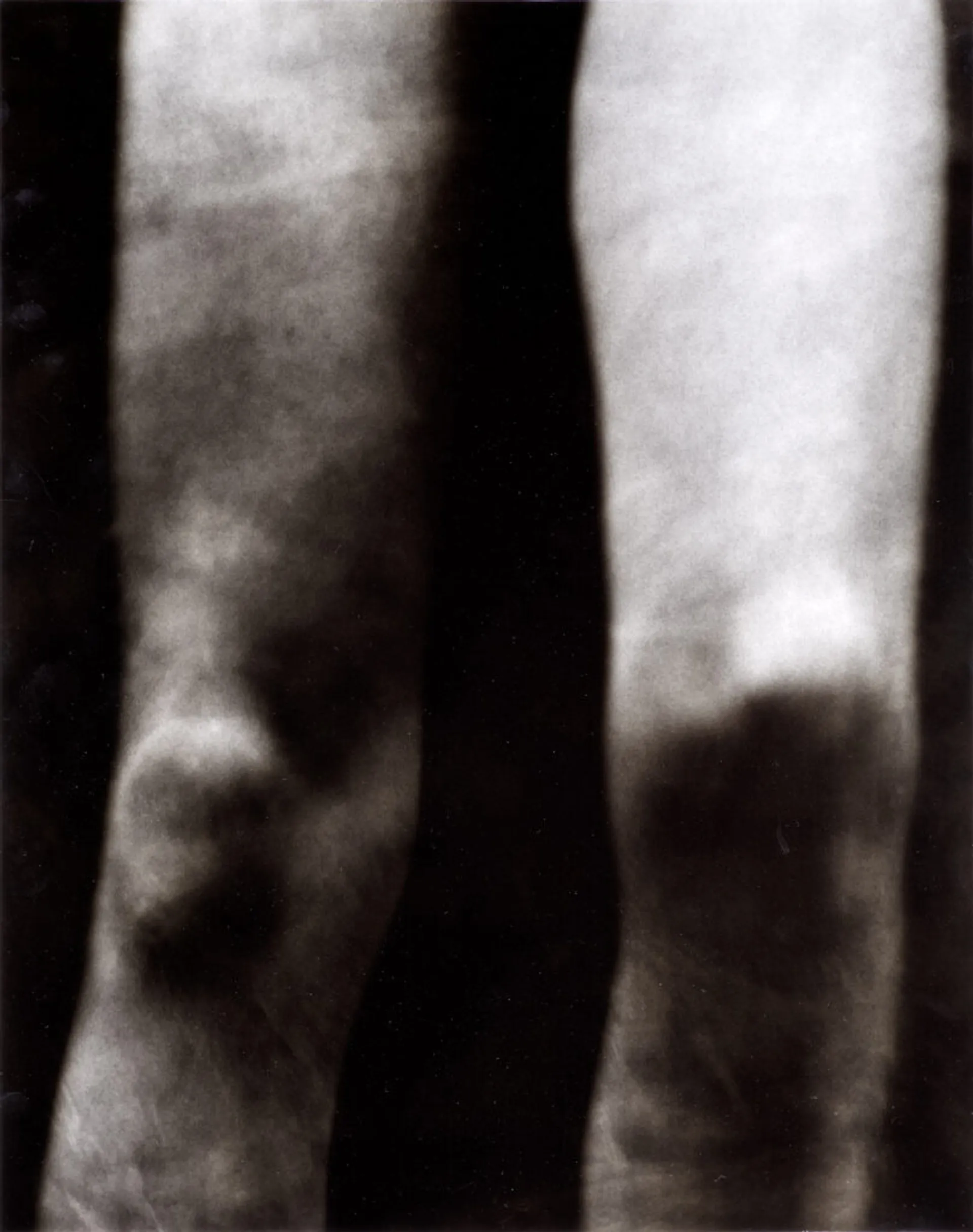 UNTITLED SEQUENCE