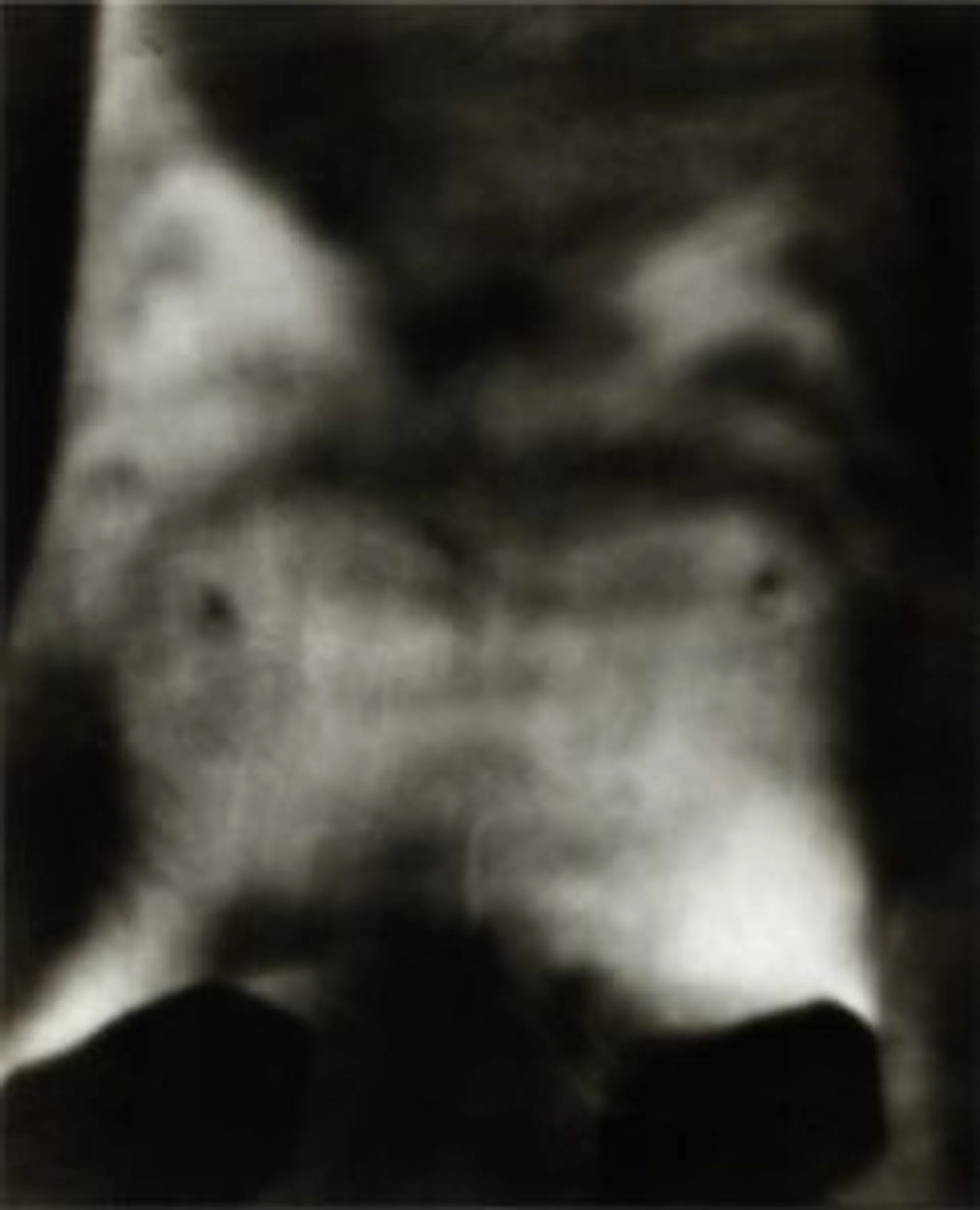 UNTITLED SEQUENCE
