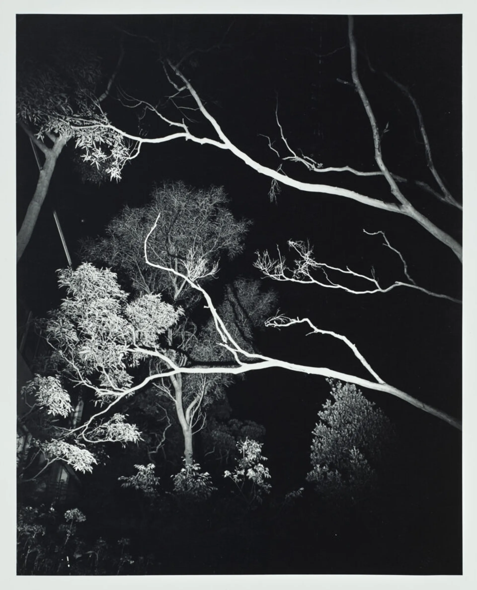 LANDSCAPE AT NIGHT CASTLECRAG