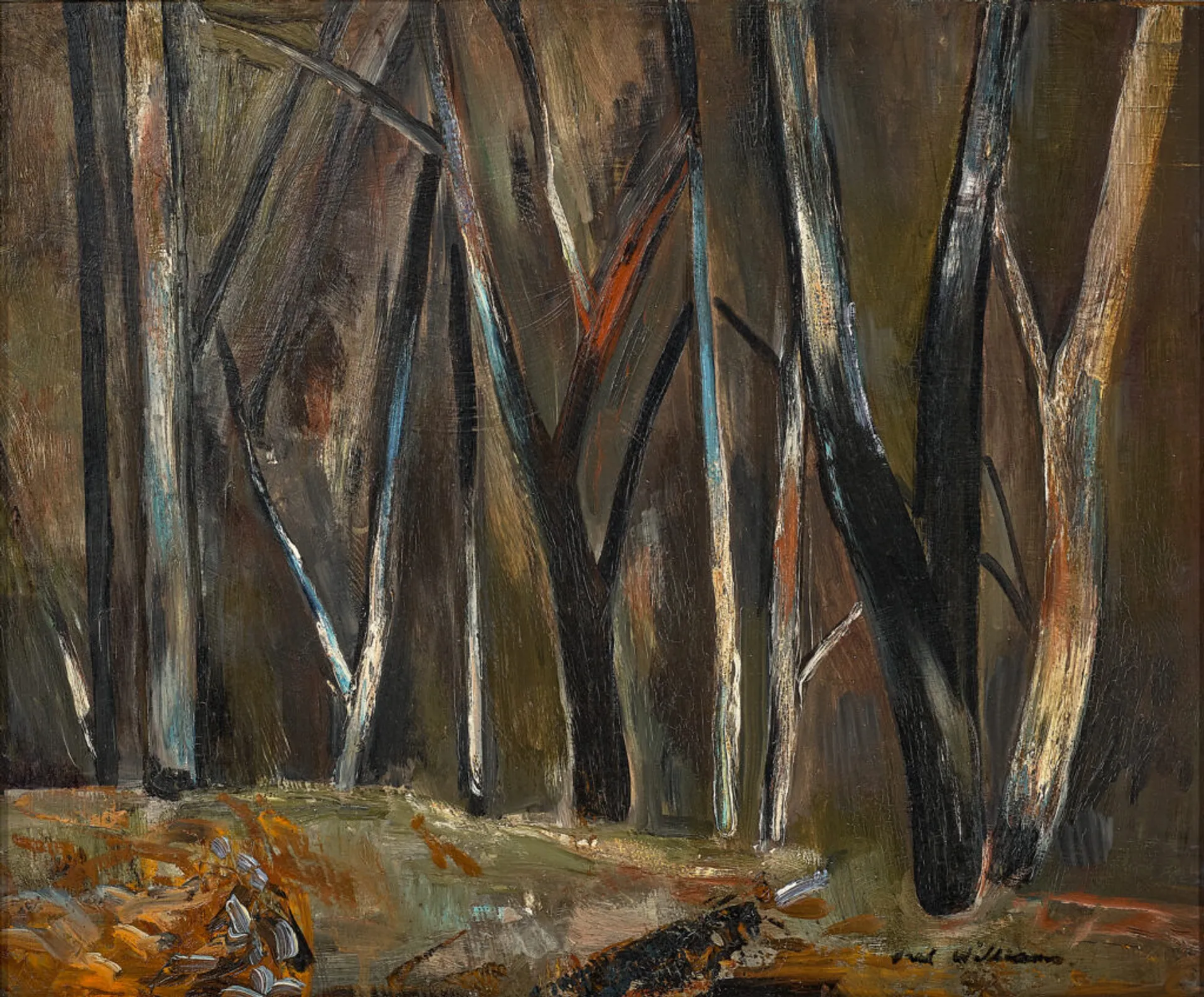 SHERBROOKE FOREST