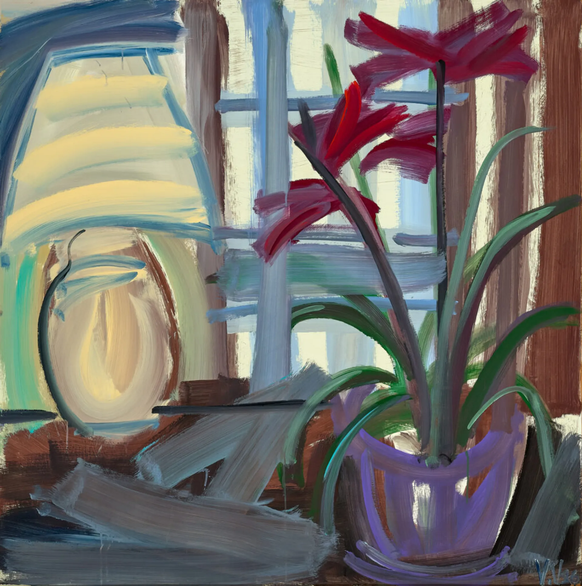 STILL LIFE – HIPPEASTRUMS