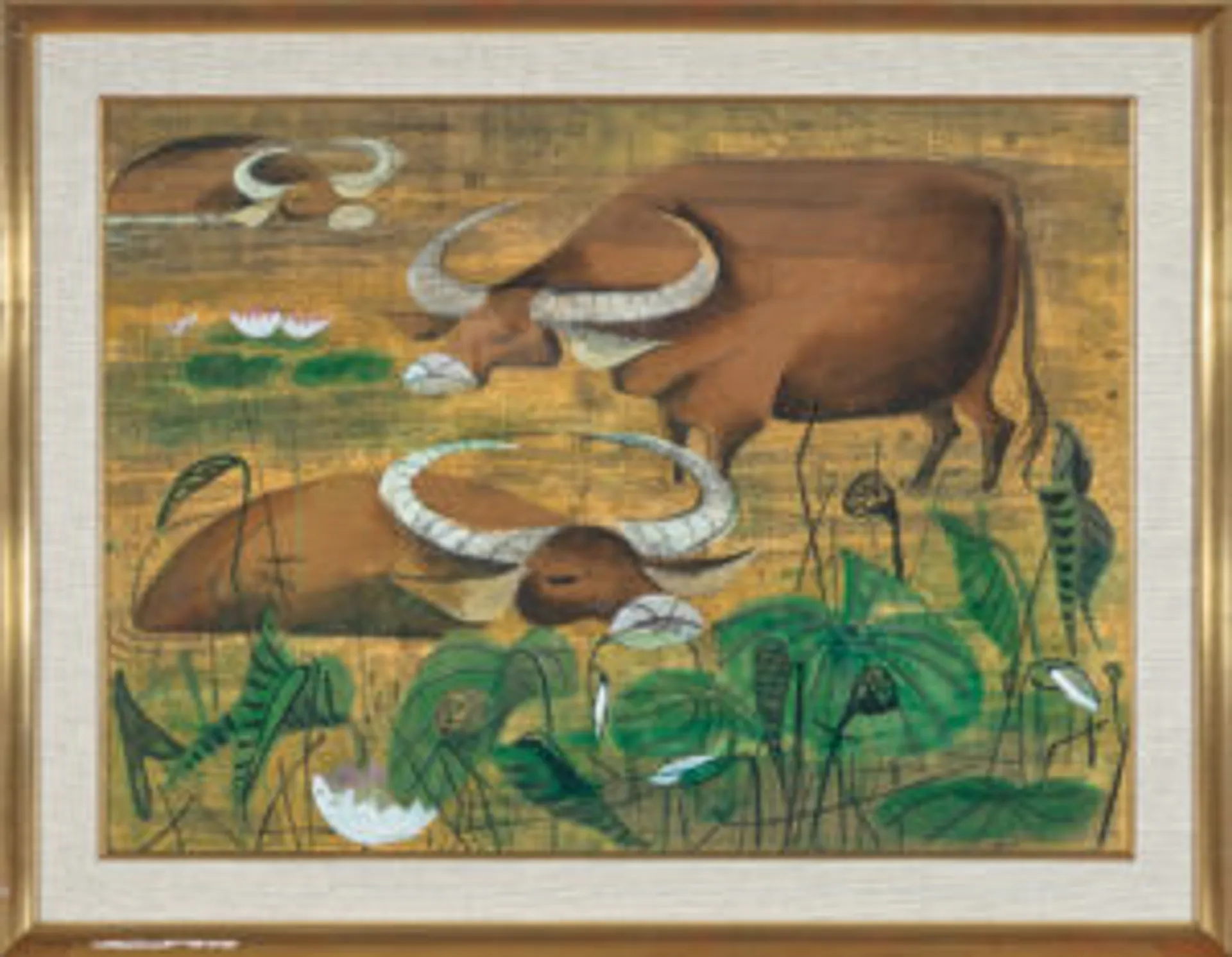WATER BUFFALOES