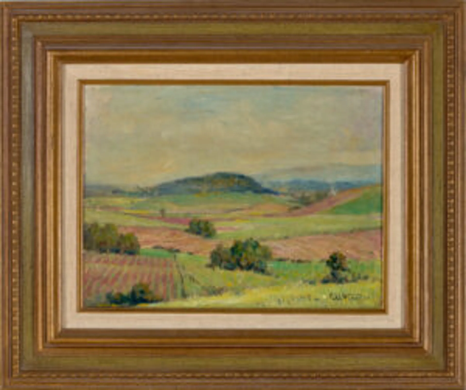 CANE FIELDS, INNISFALL