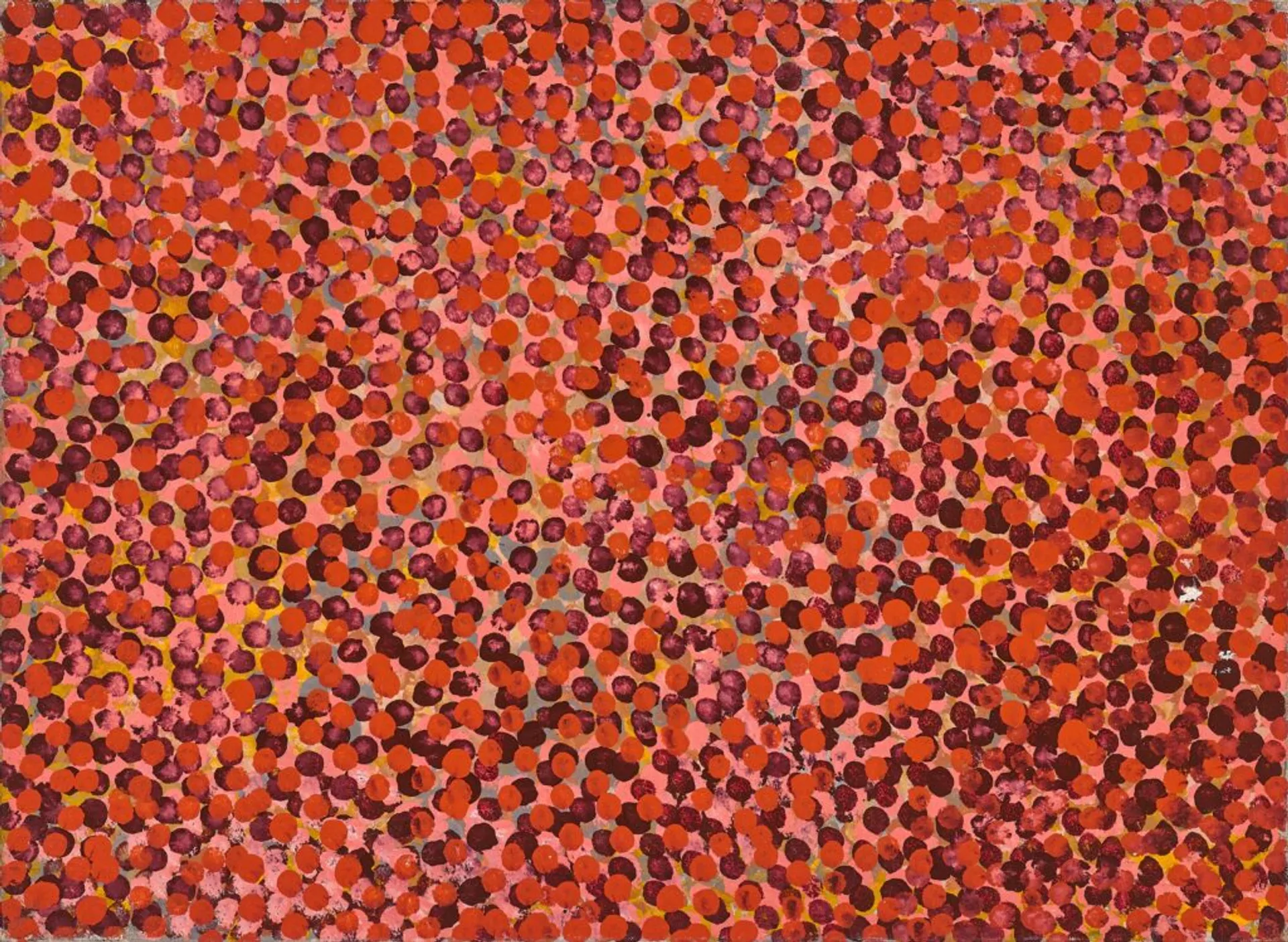 Australian Fine Art + Indigenous Art