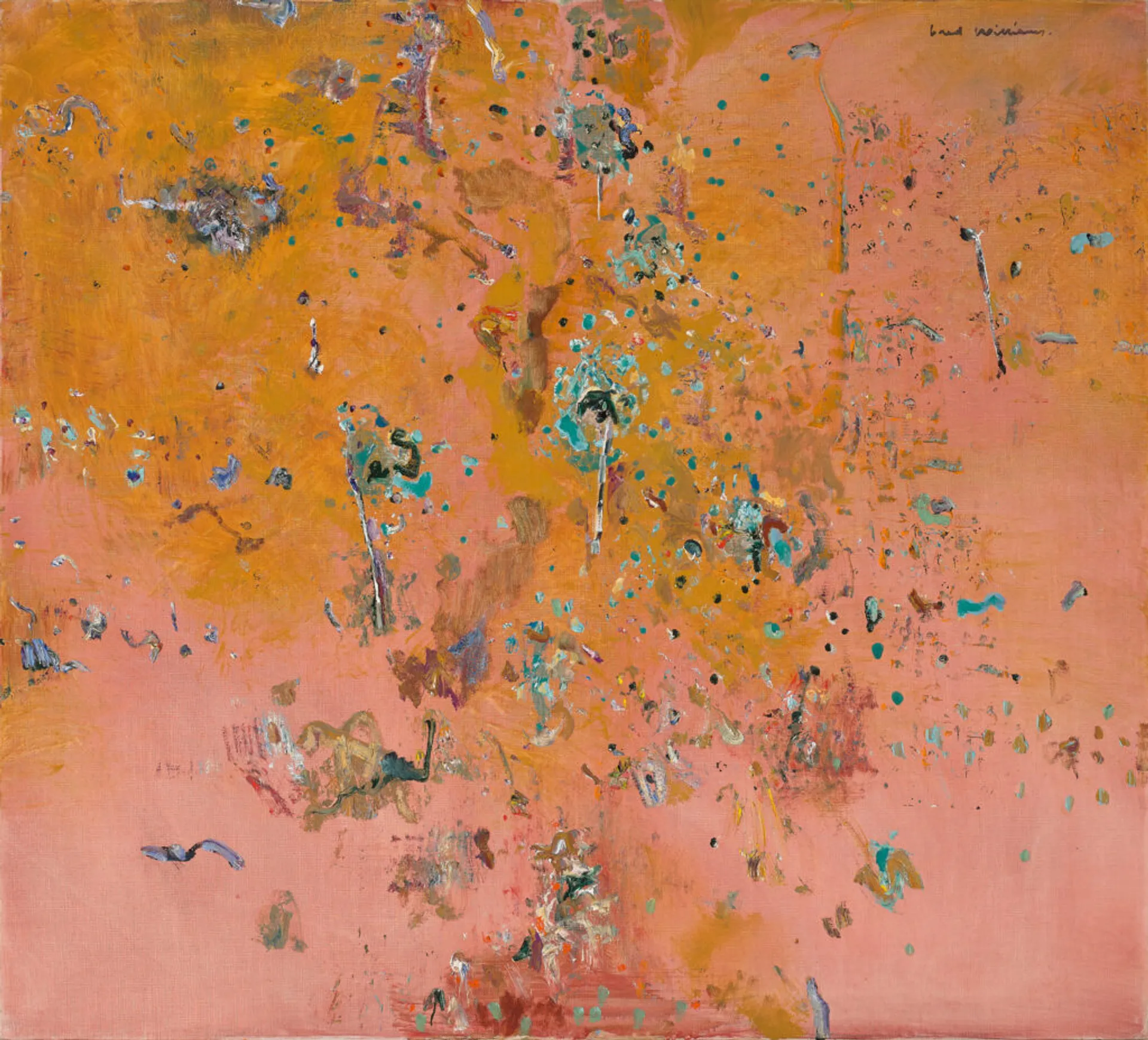 Paraburdoo landscape