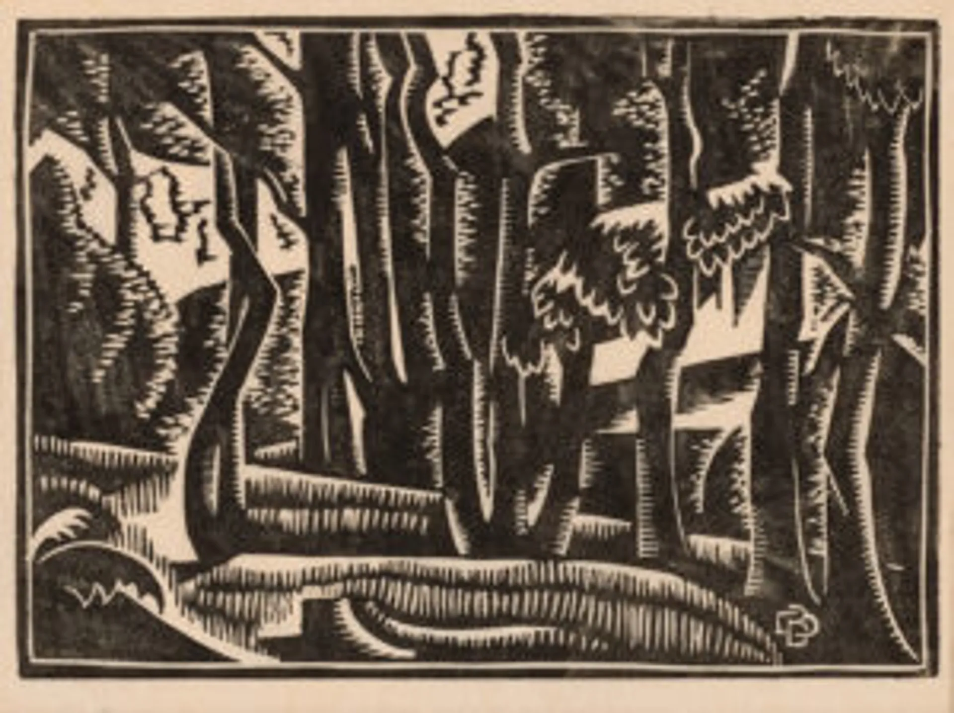 Gum trees