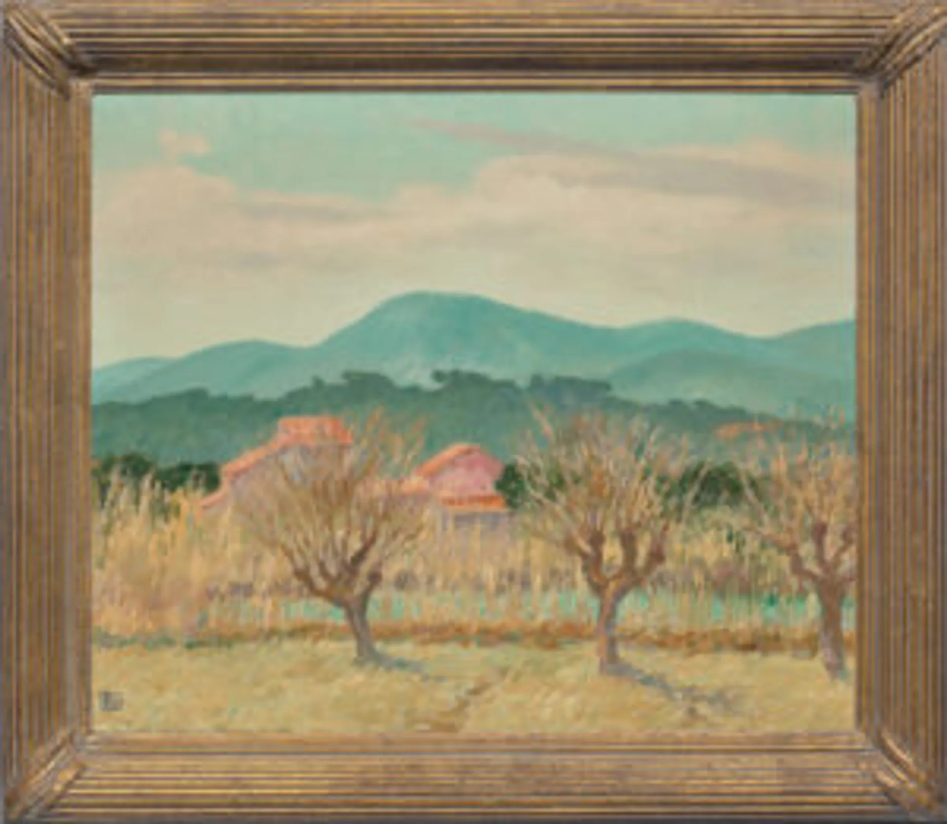 Mulberry Trees