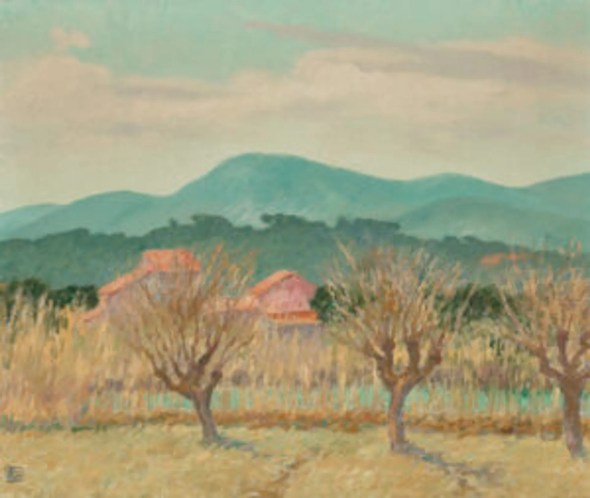 Mulberry Trees