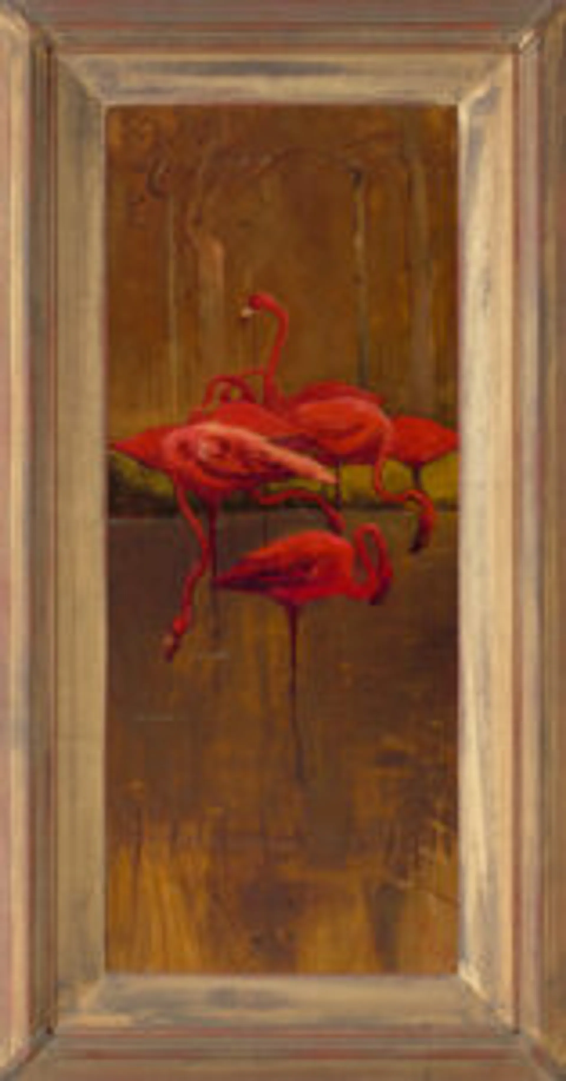 Flamingoes