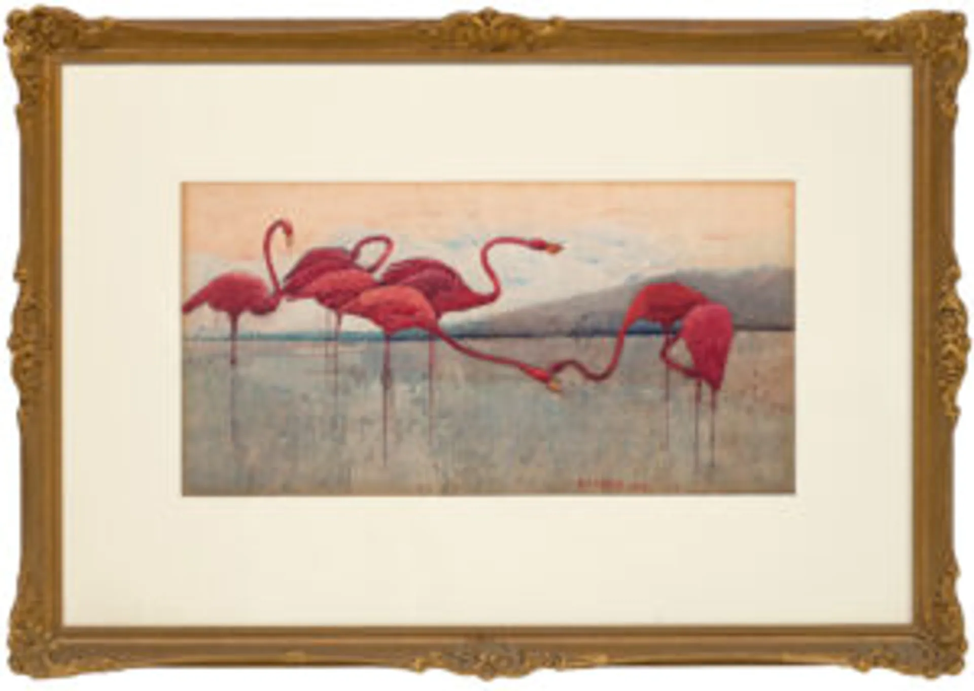 Pink flamingoes