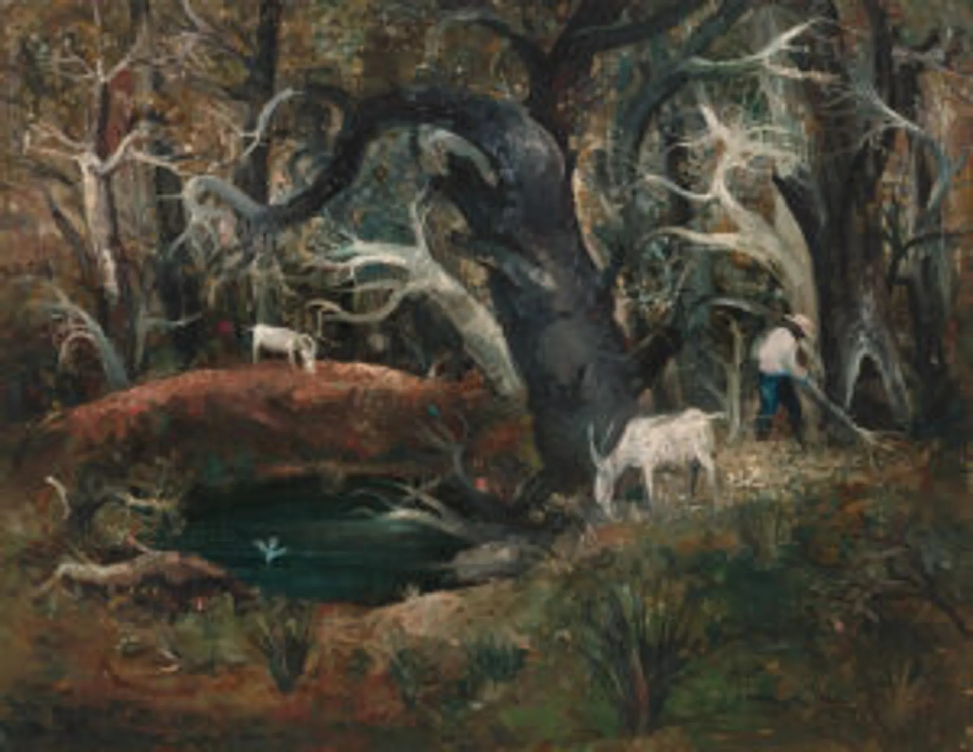 Bush pond