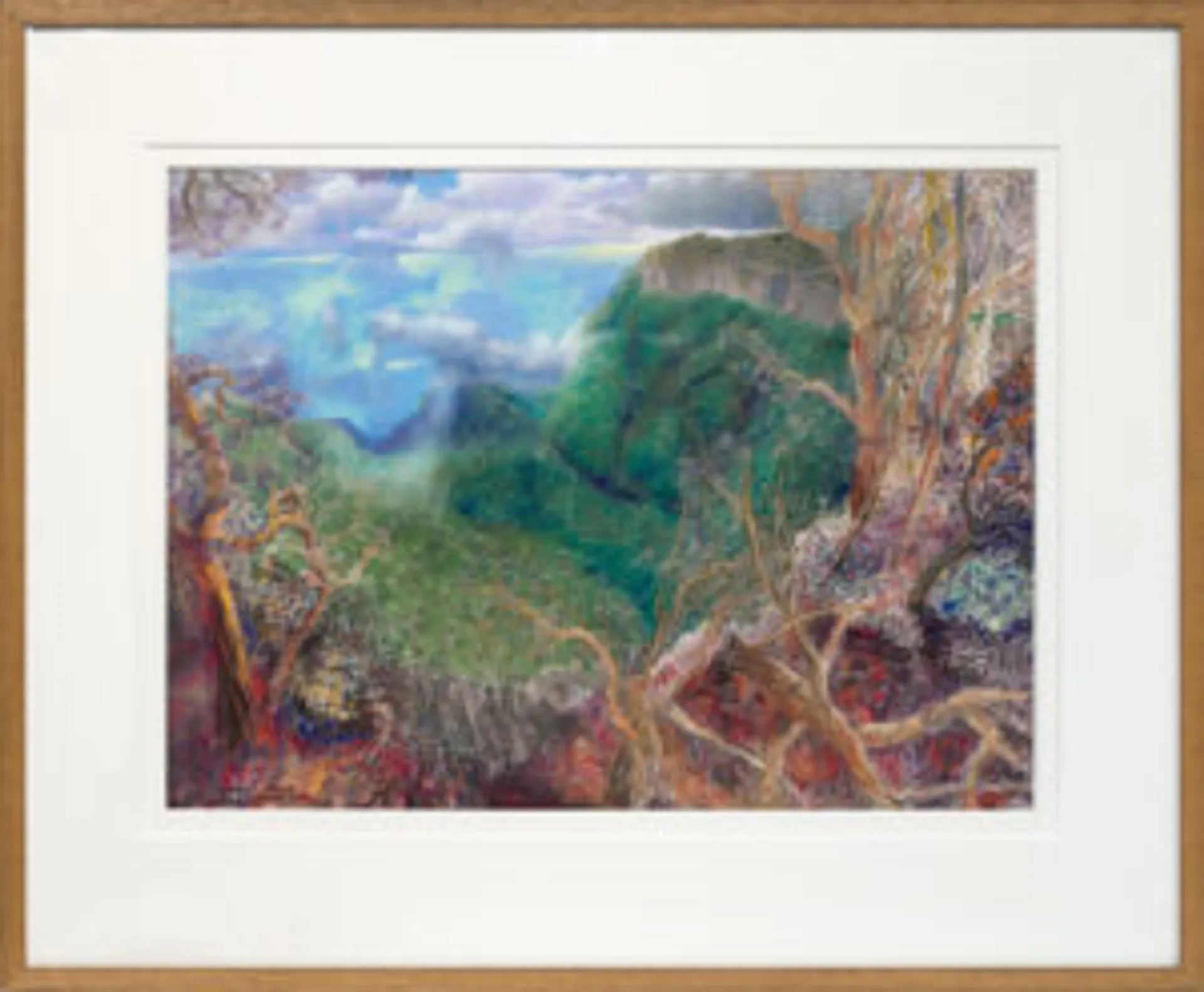 Canyon Gorge