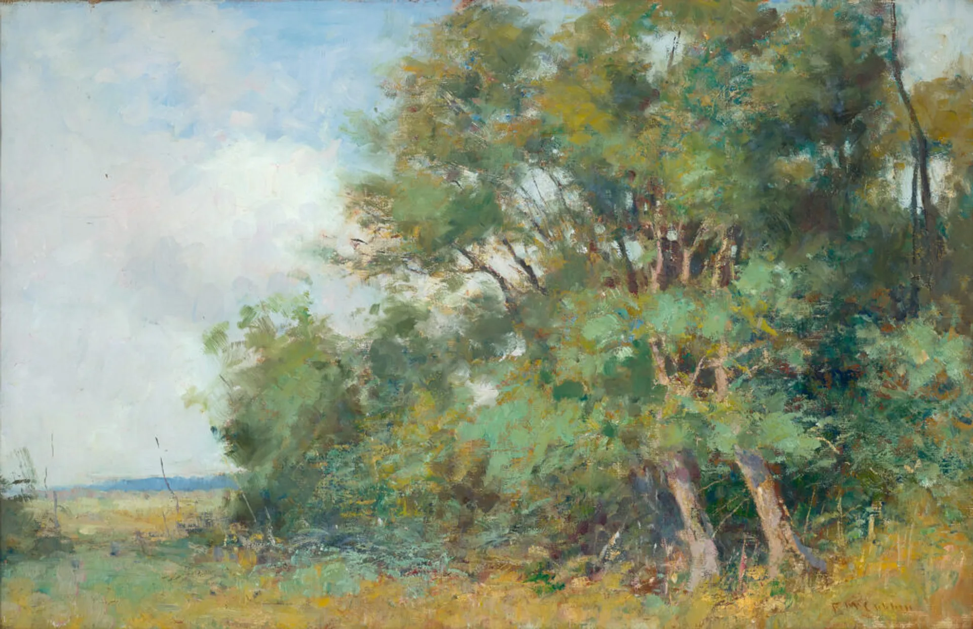 Macedon landscape (View from Hesket)
