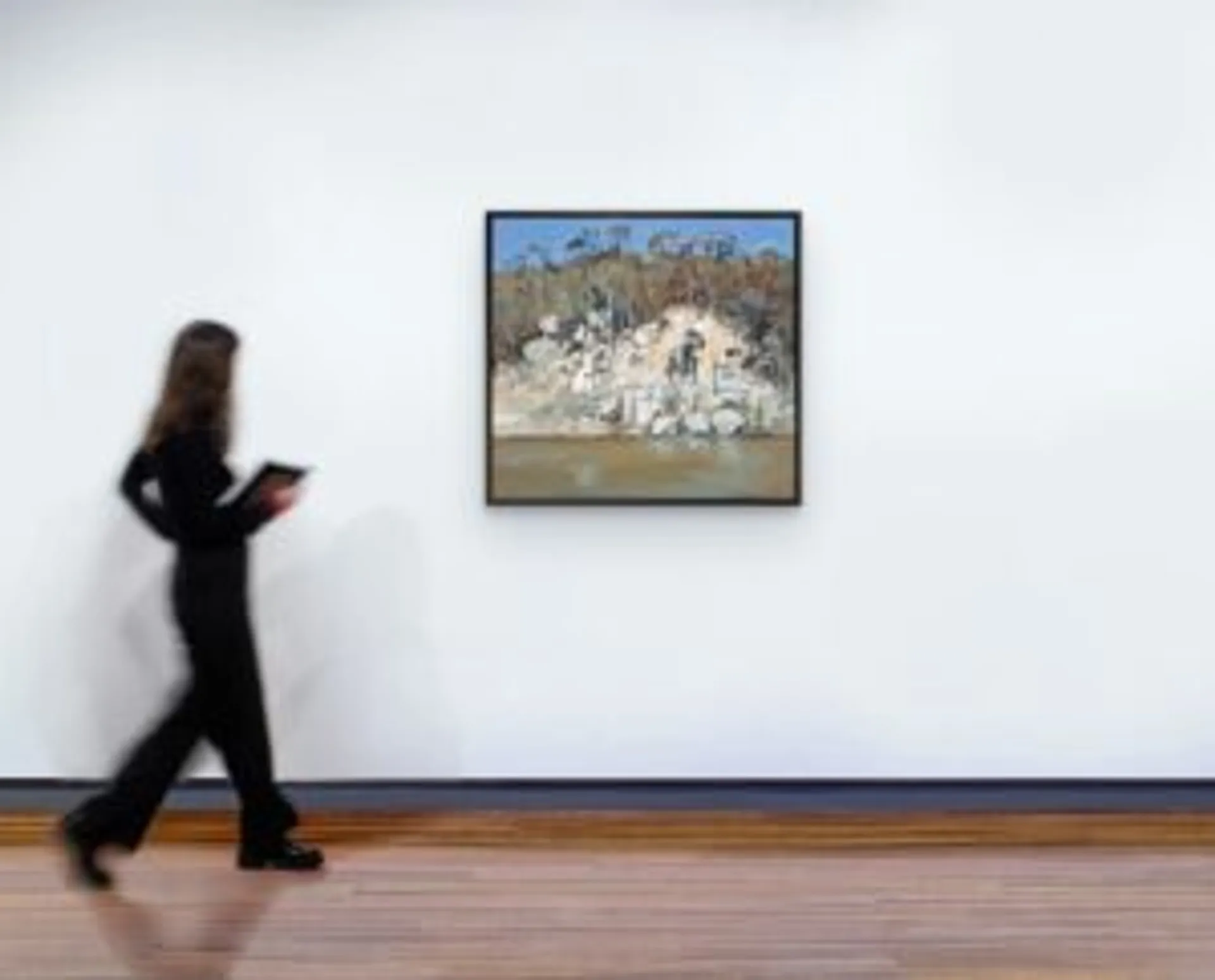 Shoalhaven landscape