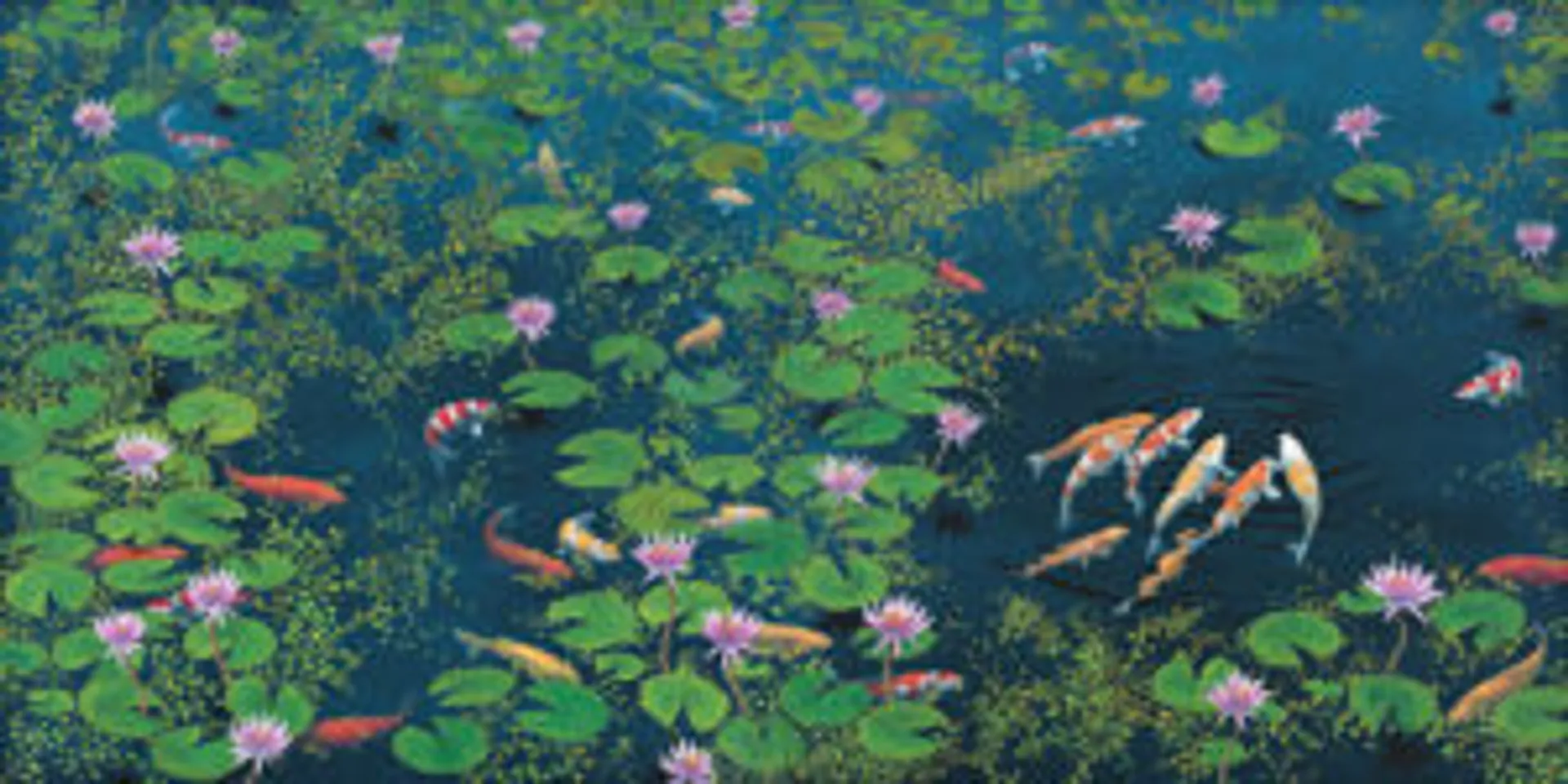 Riddle of the Koi