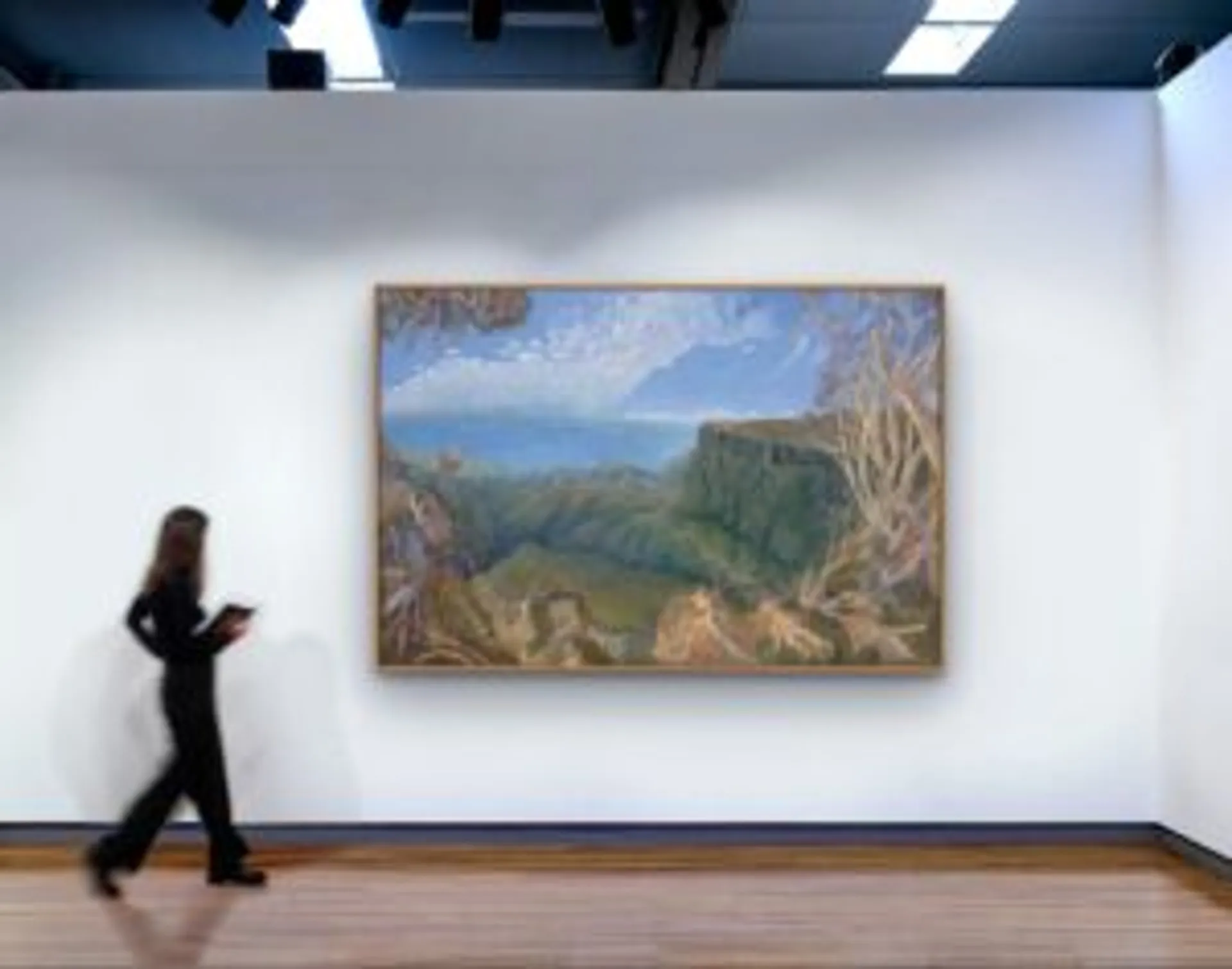The bright sea, Springbrook