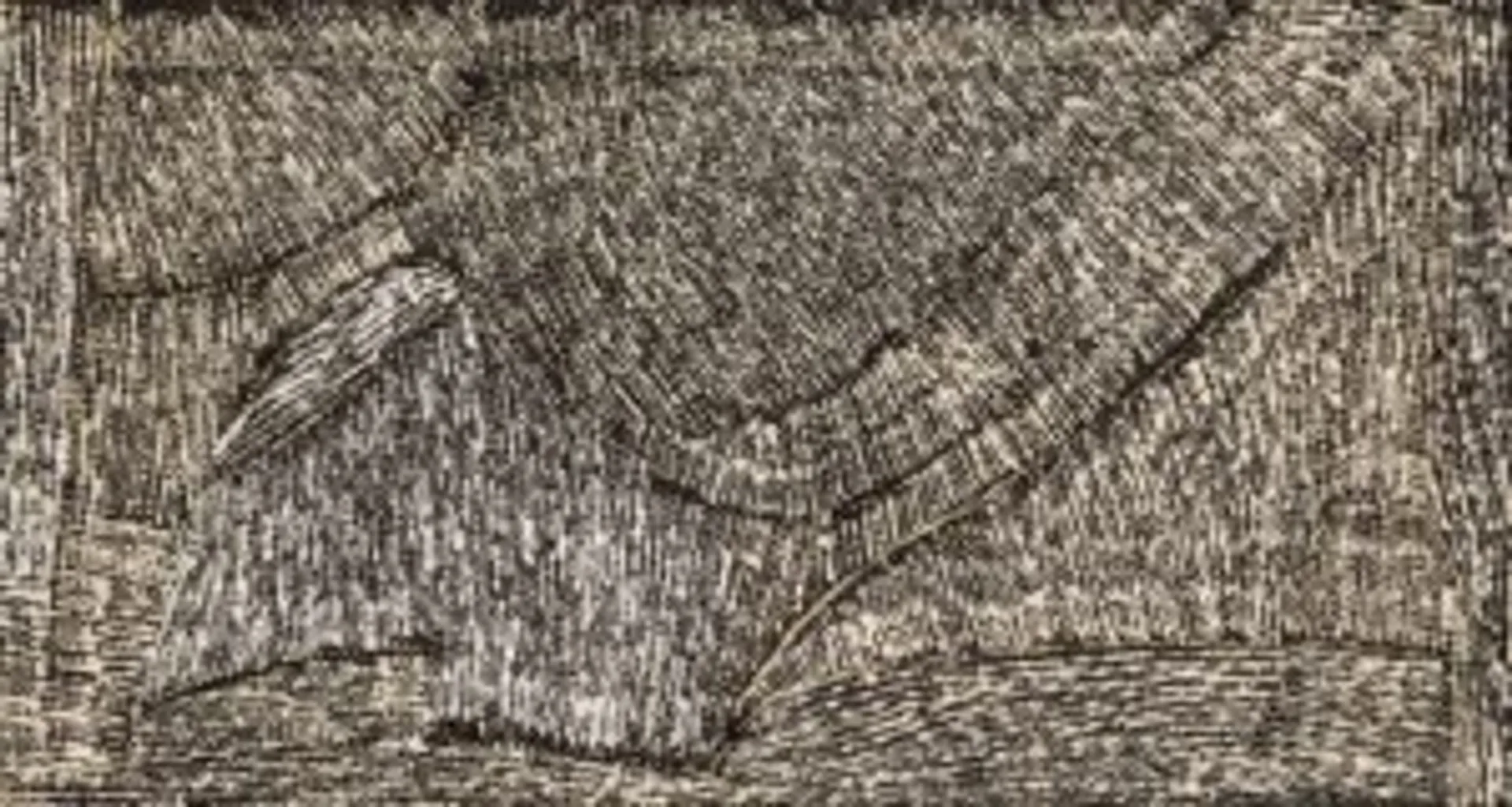 Winga (Tidal movement/waves)