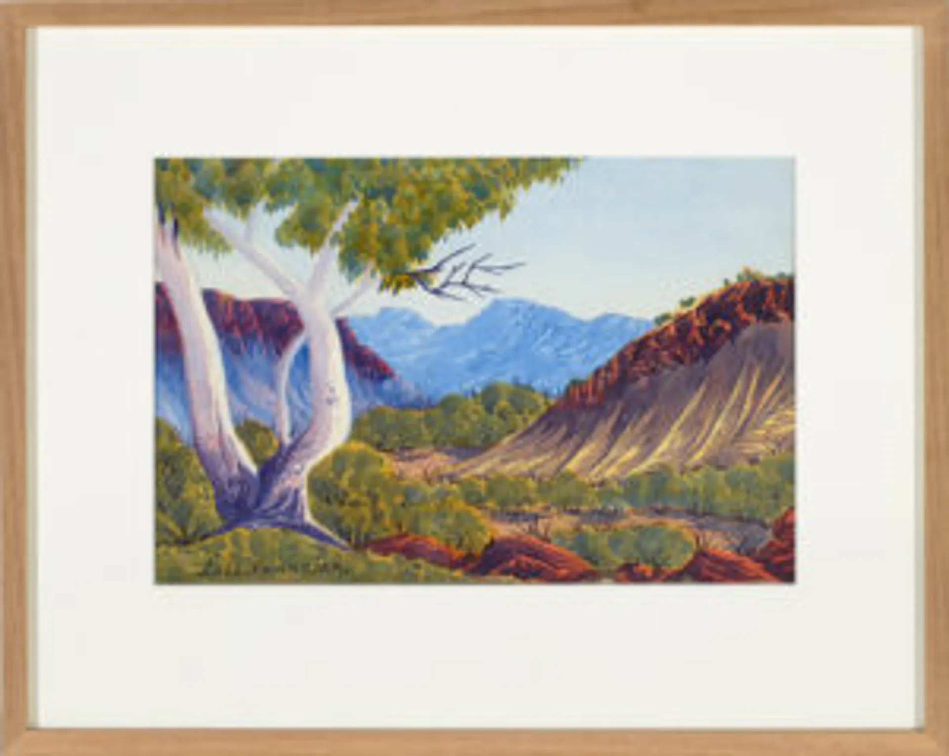 East of the Macdonnell Ranges