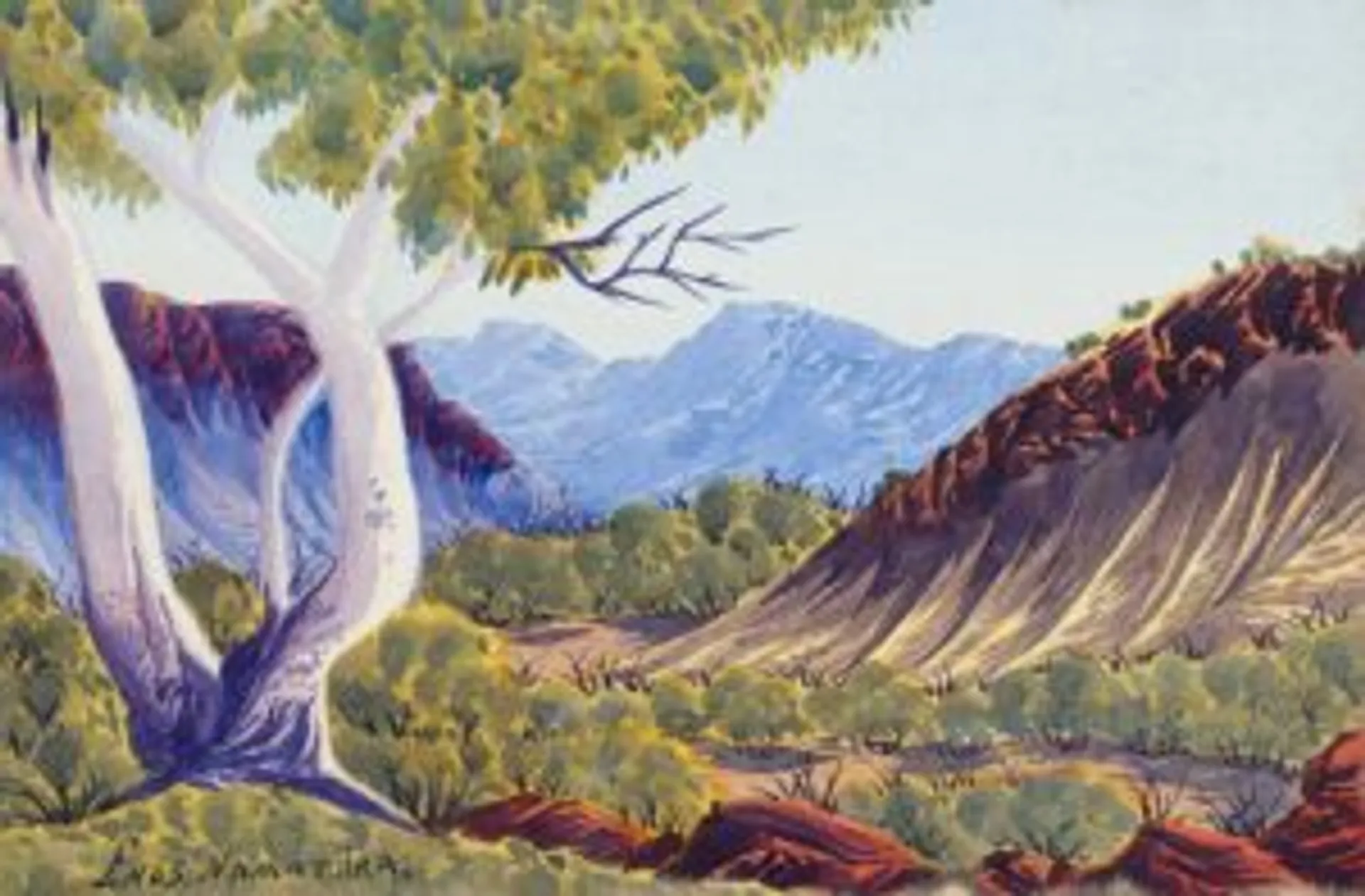 East of the Macdonnell Ranges