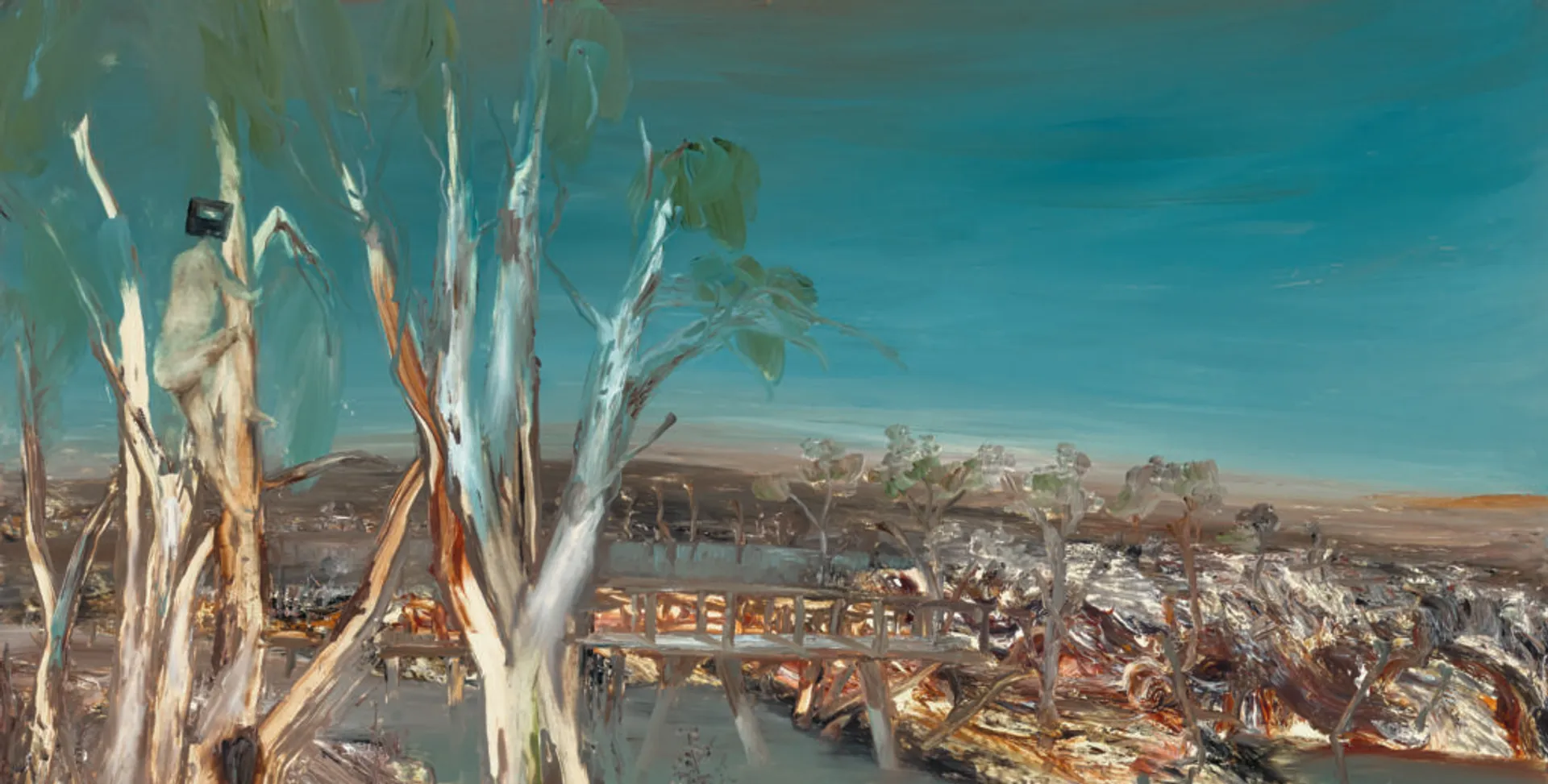100 Highlights from the Cbus Collection of Australian Art