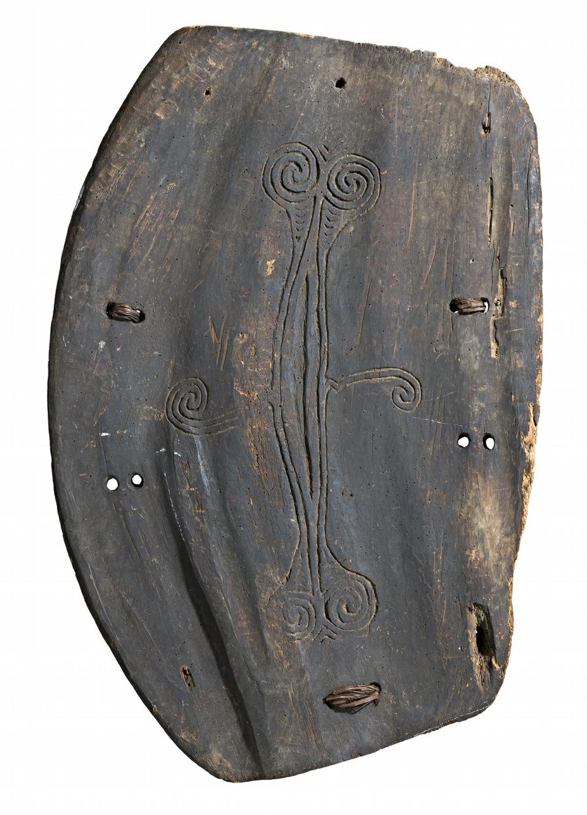 A WAR SHIELD