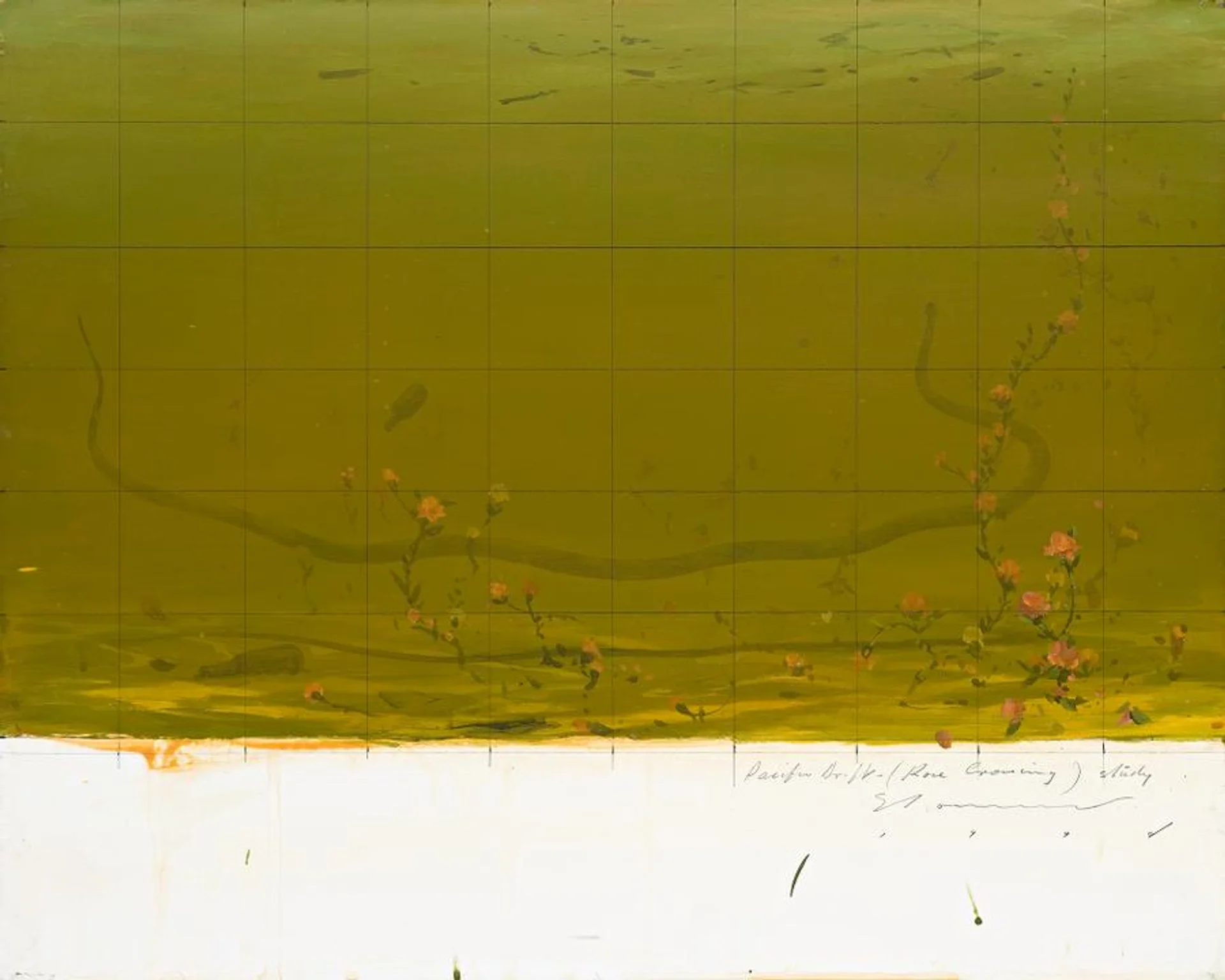 PACIFIC DRIFT (ROSE CROSSING) STUDY