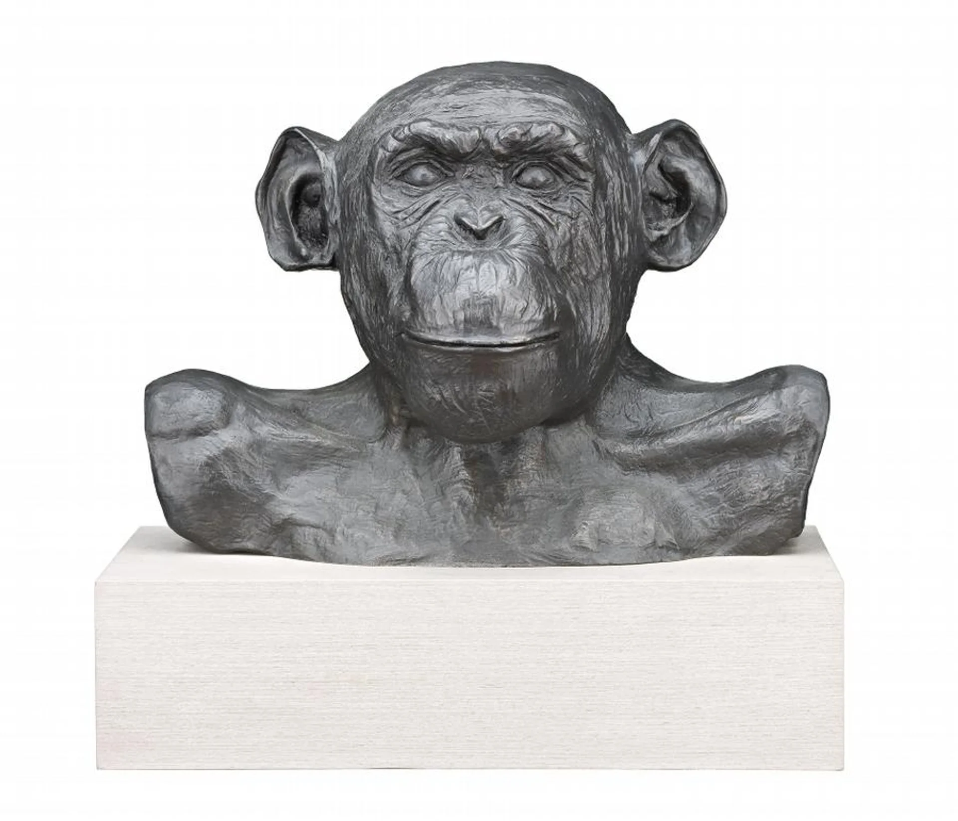 HAM (ASTRO CHIMP) NO. 29