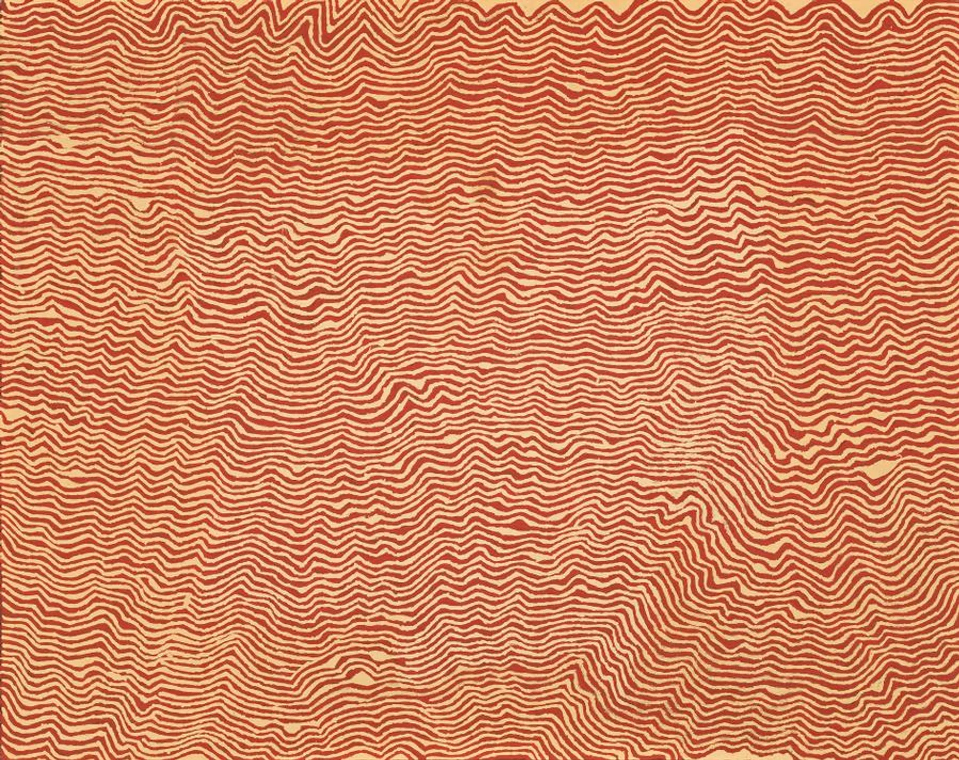 BUSH POTATO DREAMING