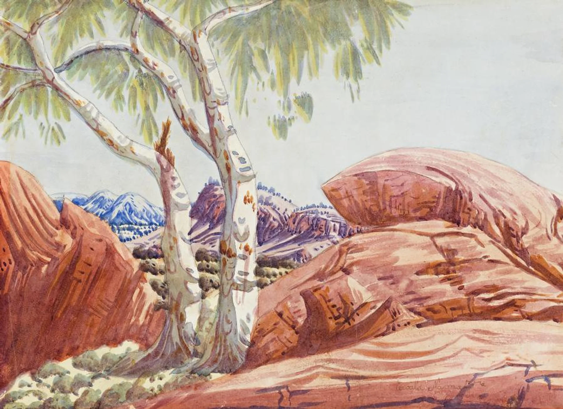 CENTRAL AUSTRALIAN LANDSCAPE