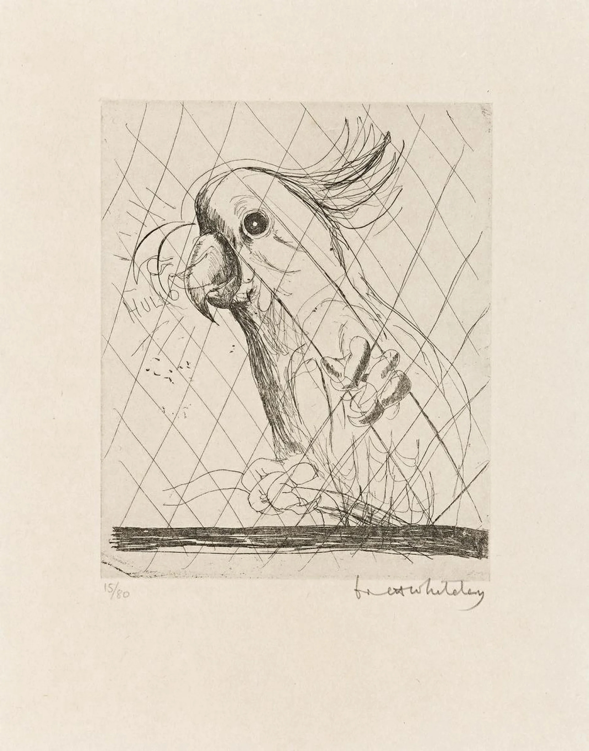 COCKATOO