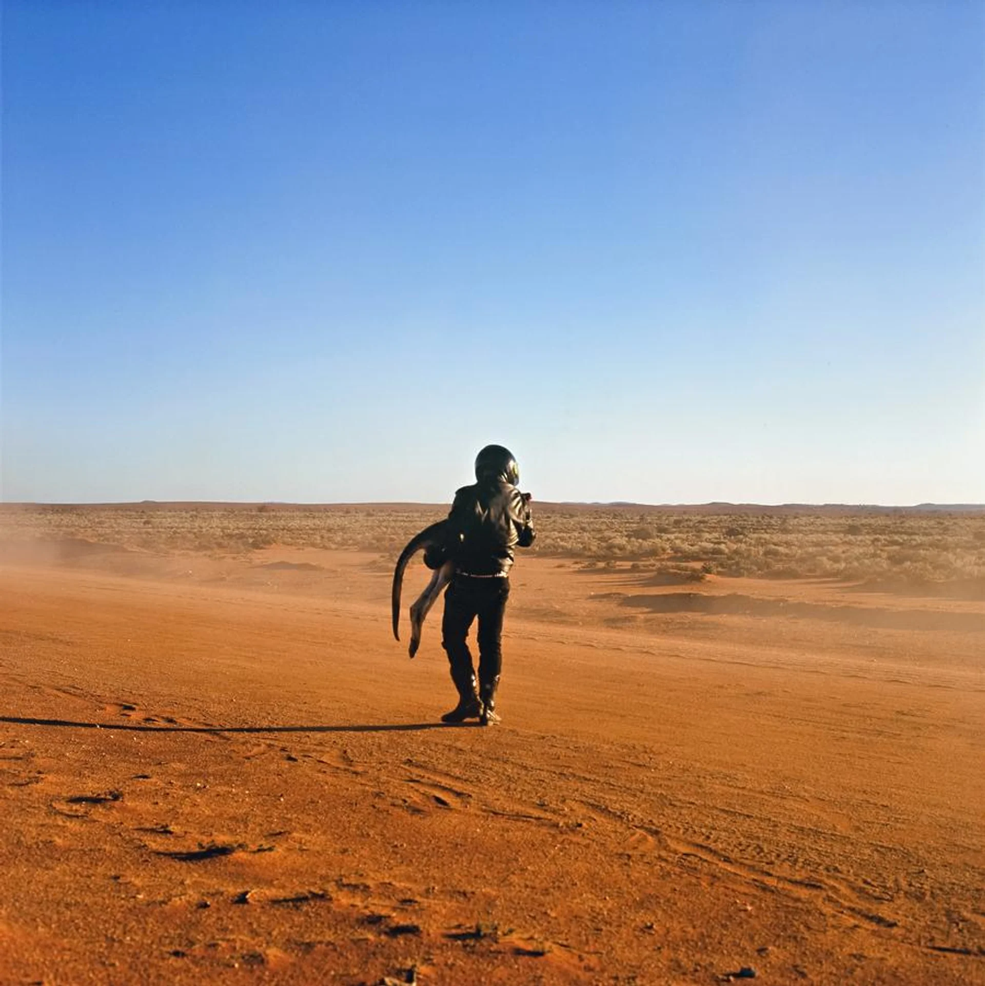 APOLOGY TO ROADKILL: DAYDREAM MINE ROAD II 2007 (from the series MADDESTMAXIMVS )