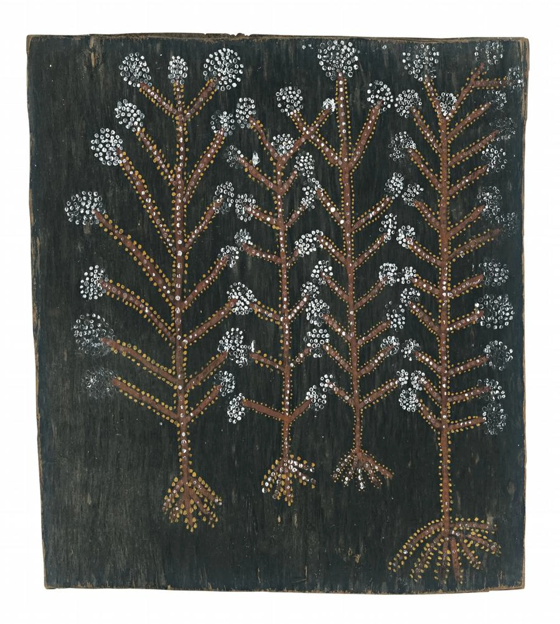 SACRED TREES