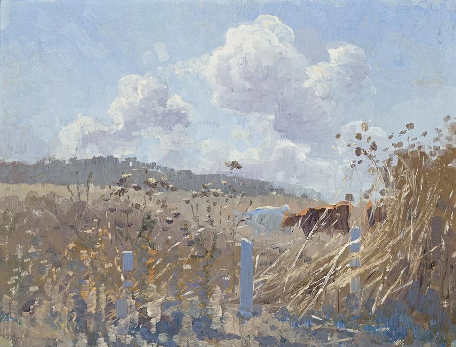 SUMMER LANDSCAPE